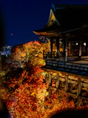 A traditional wooden structure situated on a platform overlooking brightly colored autumn trees. The scene is illuminated, highlighting the vibrant red and orange leaves against a dark, night sky. The wooden architecture features intricate details, railings, and support beams.
