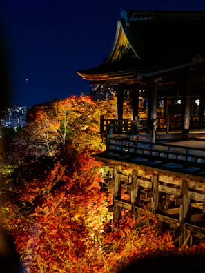 A traditional wooden structure situated on a platform overlooking brightly colored autumn trees. The scene is illuminated, highlighting the vibrant red and orange leaves against a dark, night sky. The wooden architecture features intricate details, railings, and support beams.