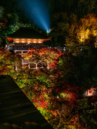 A serene Kyoto temple street in autumn, softly lit with golden hues reflecting traditional brocade patterns.