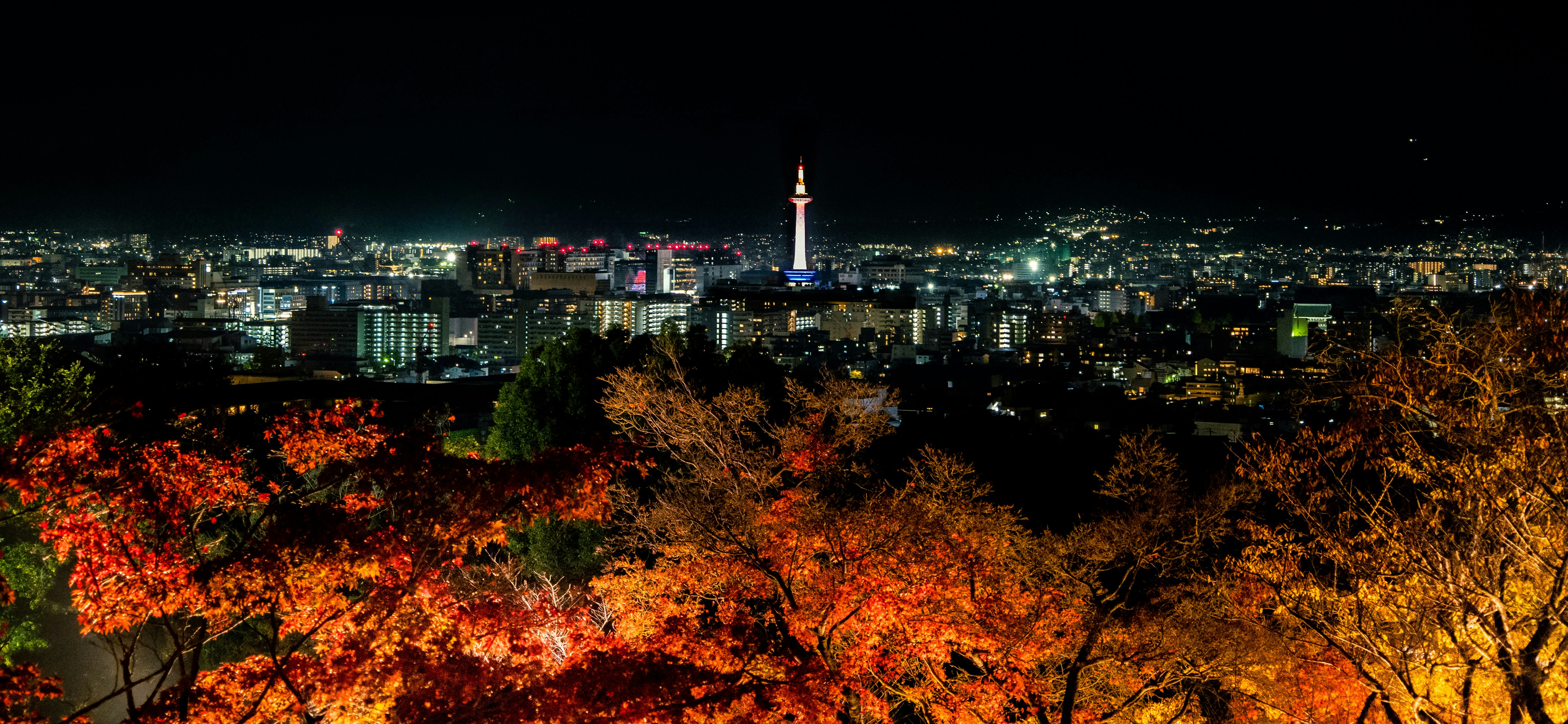 Photo by shellingfordyu