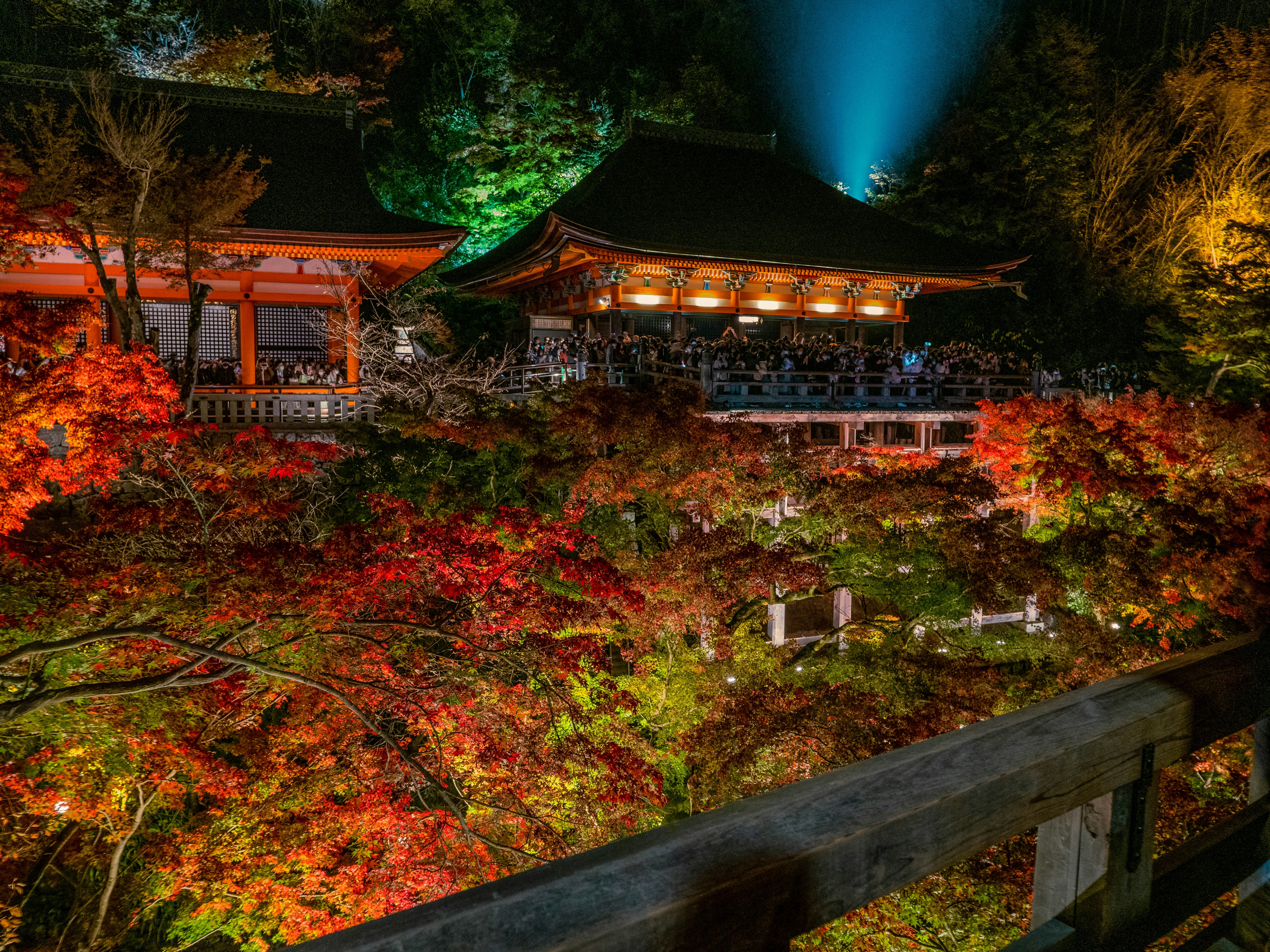 Photo by shellingfordyu