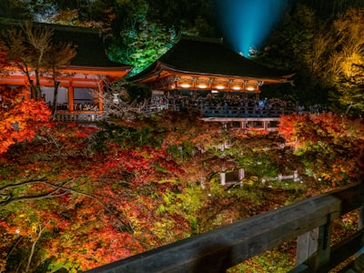 A peaceful temple nestled among autumn foliage with vibrant red and orange leaves.