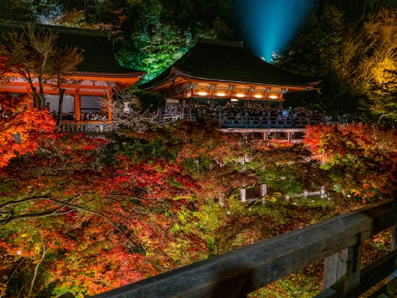 A vibrant and richly colored autumn scene featuring a traditional Asian temple illuminated at night. The foreground showcases a lush array of red and orange foliage, providing a striking contrast to the deep green and brown hues of the surrounding forest. The temple's architecture includes ornate details, and a crowd of people is gathered on the balconies, adding a lively and bustling atmosphere.