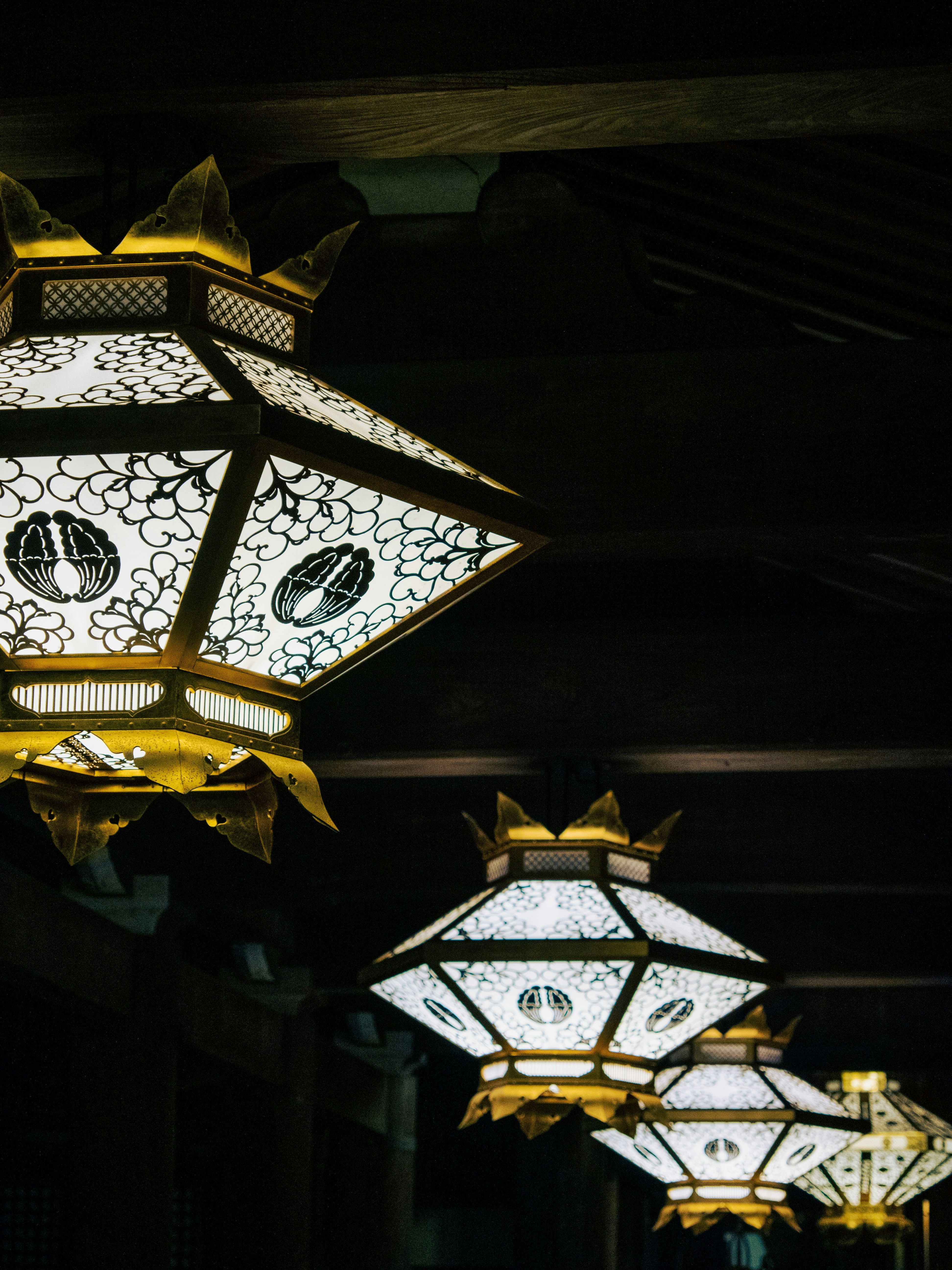 Photo by shellingfordyu