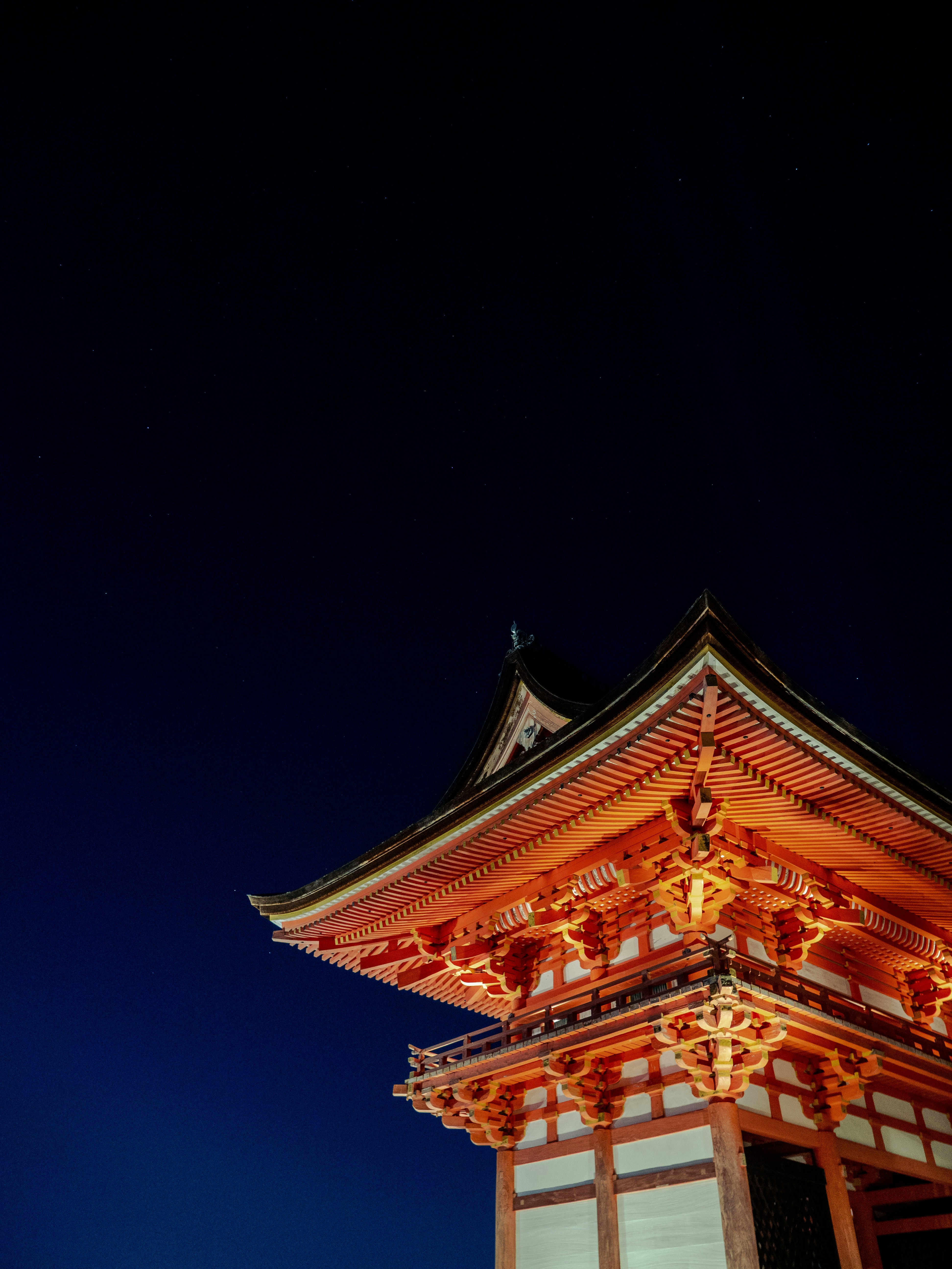 Photo by shellingfordyu