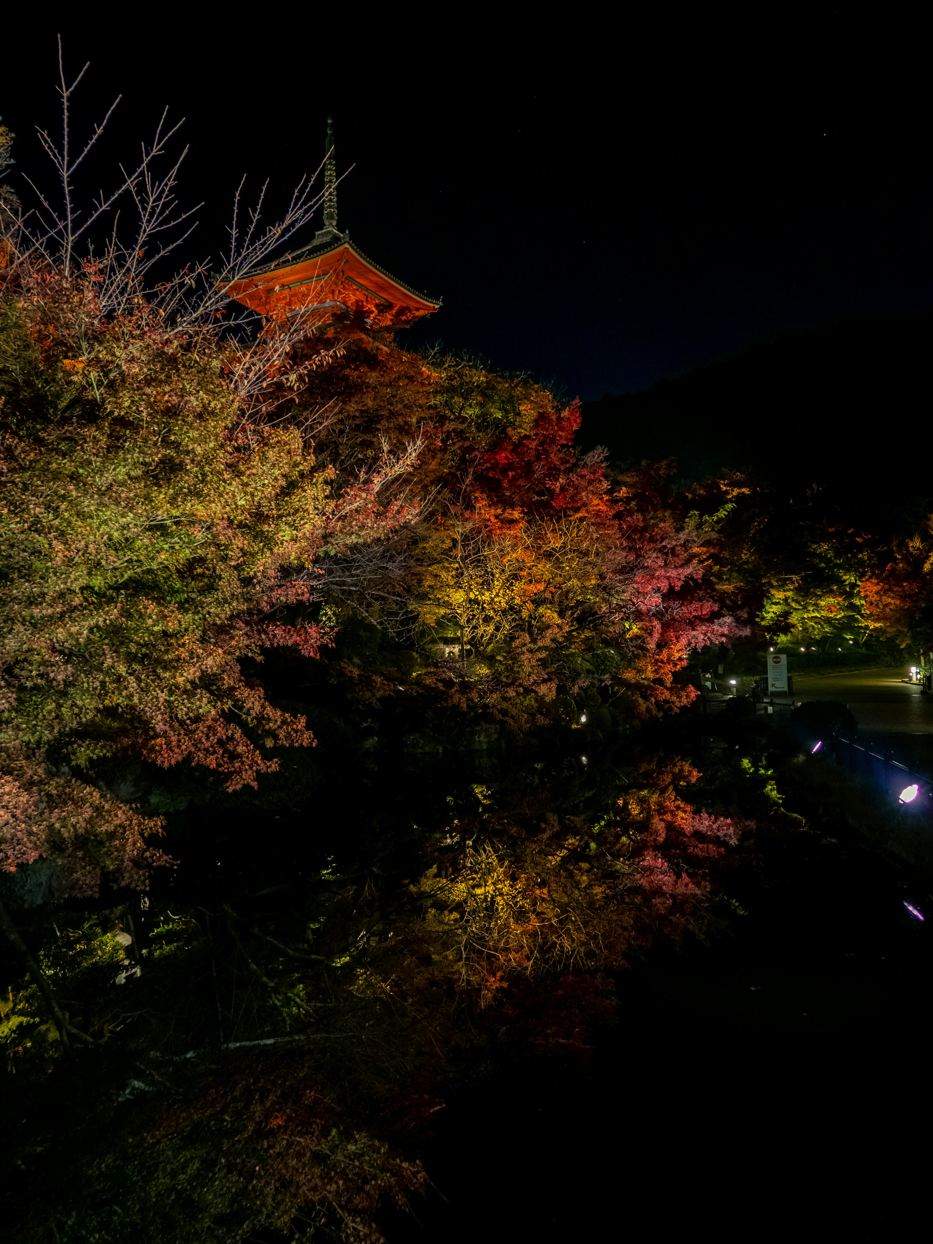 Japanese autumn night illumination