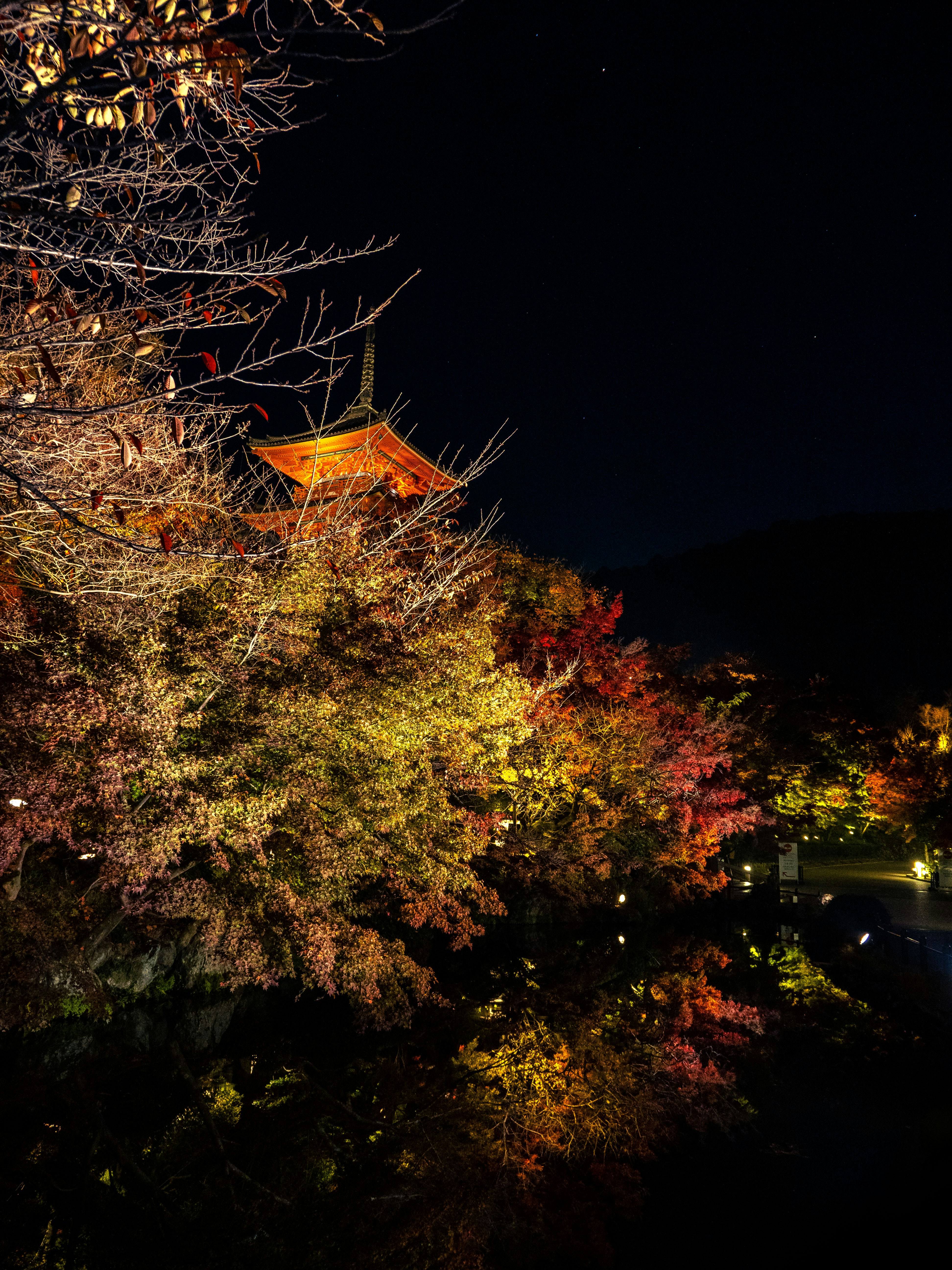 Photo by shellingfordyu