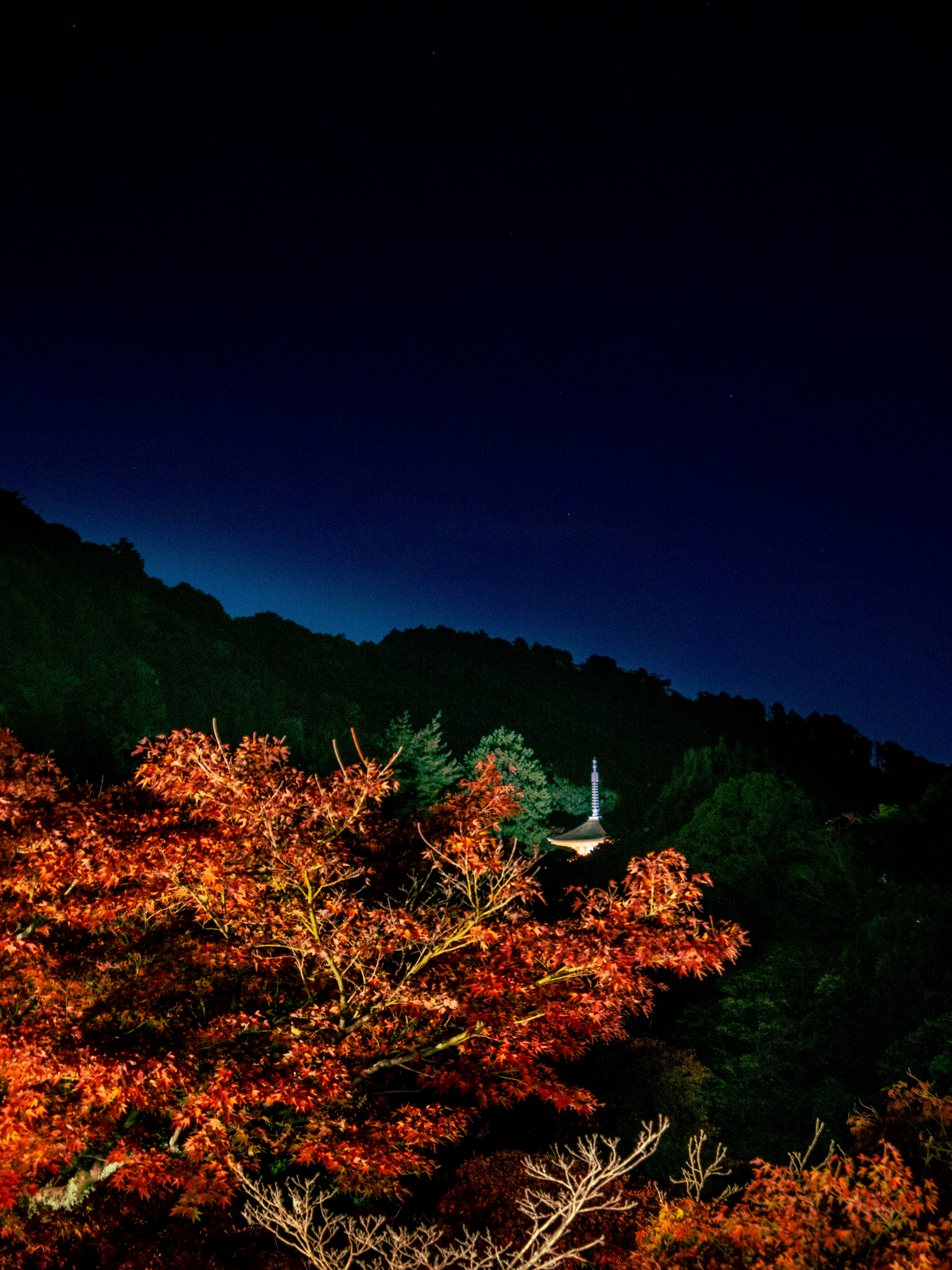 Winter night hike under starry sky in Japan