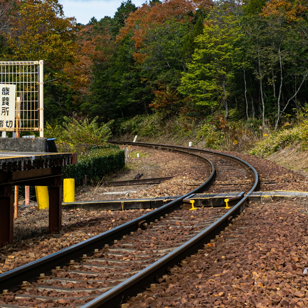 a railroad track with trees on the side