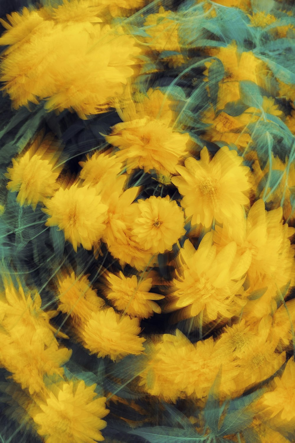 a close up of yellow flowers