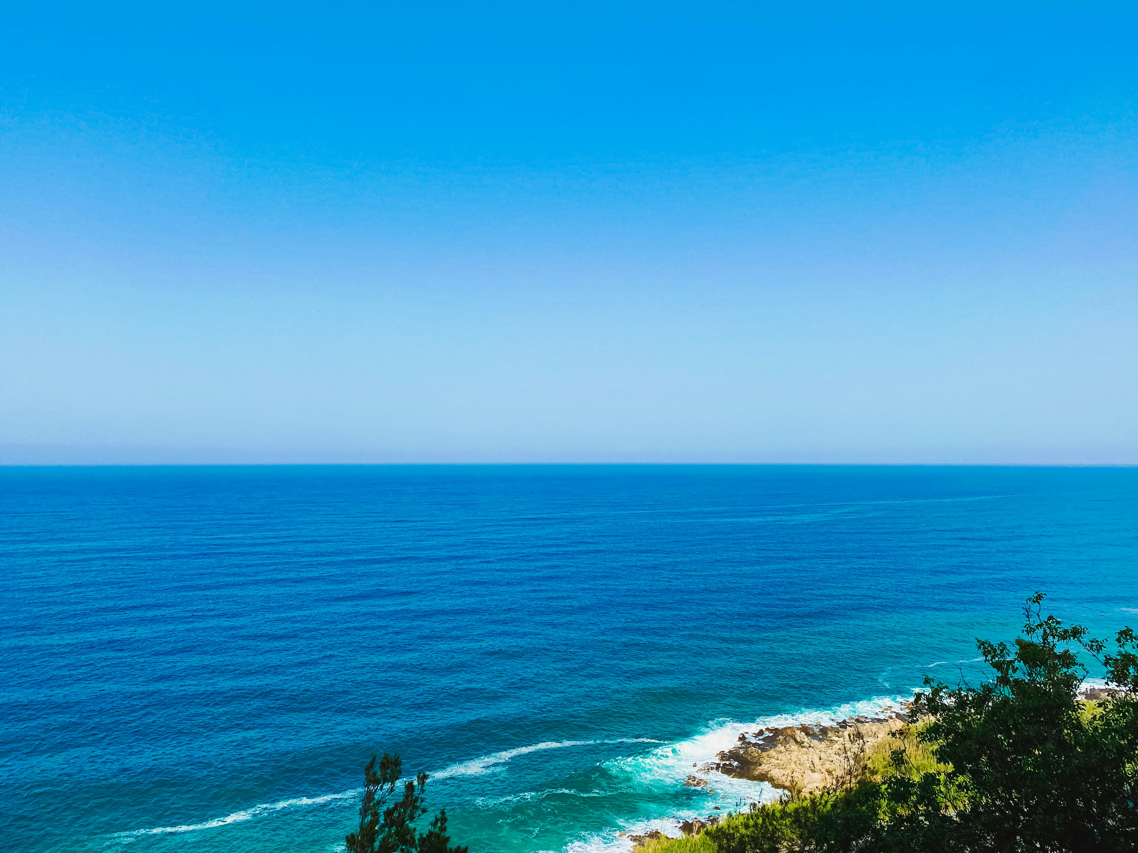 Photo by your_scorpion