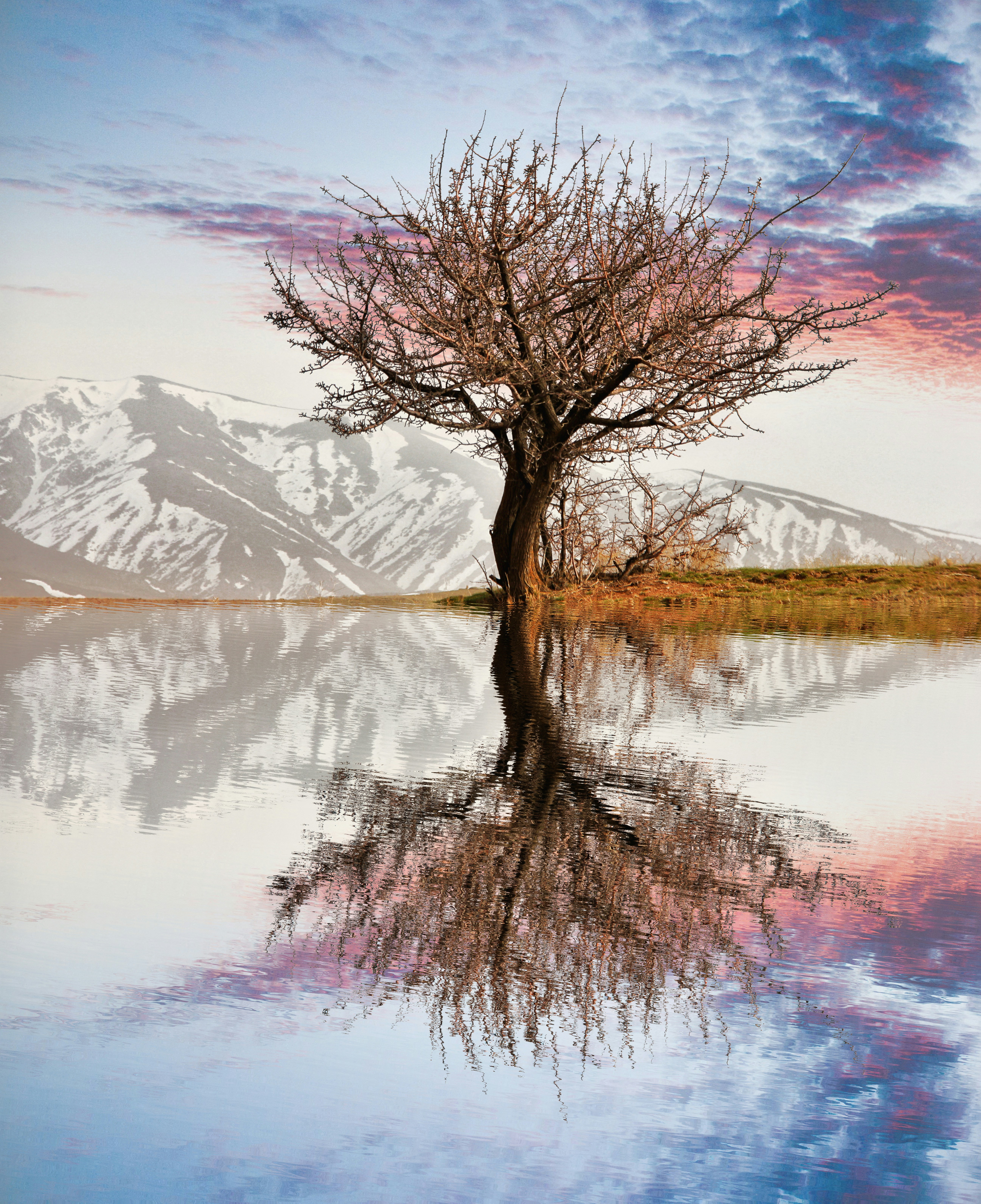 Photo by moradimaghsoud