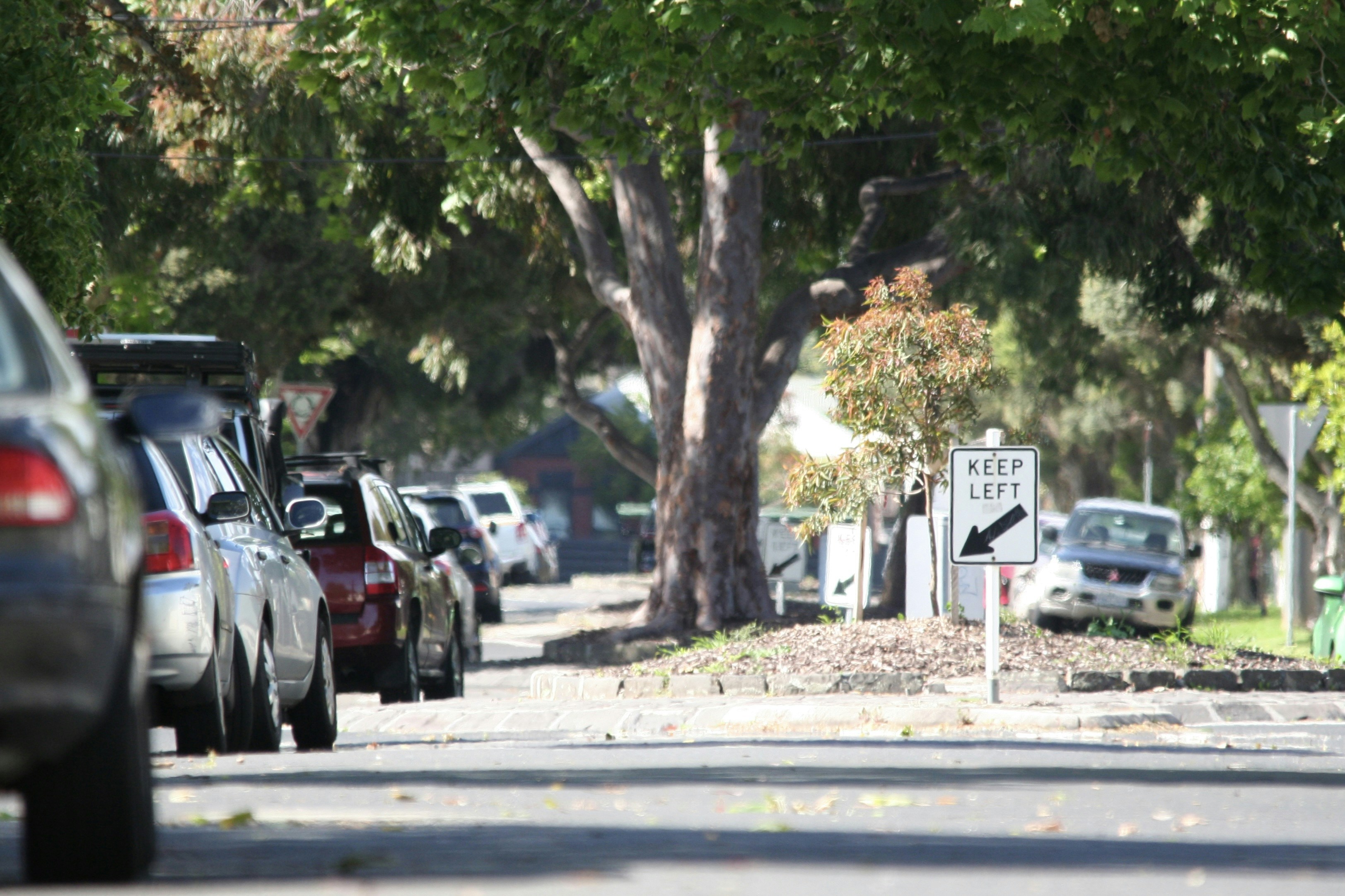 Photo by adventureplz