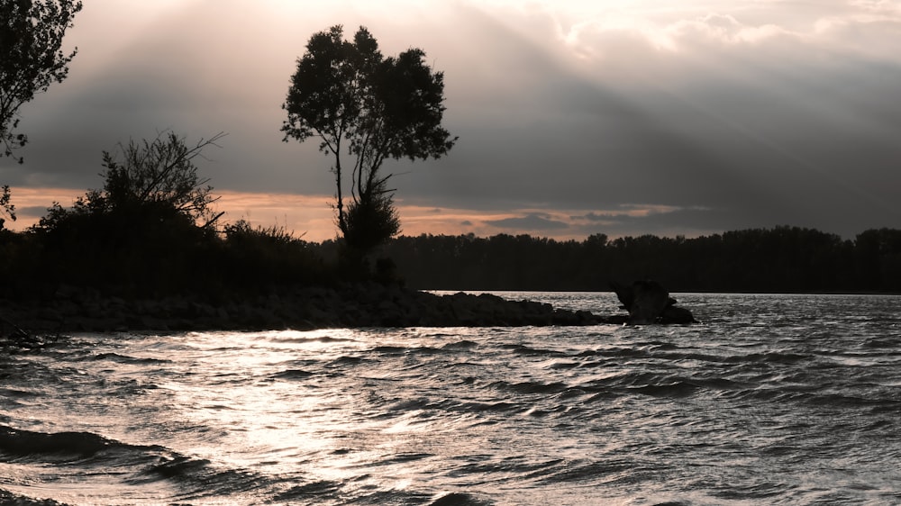 a body of water with trees and rocks in the background