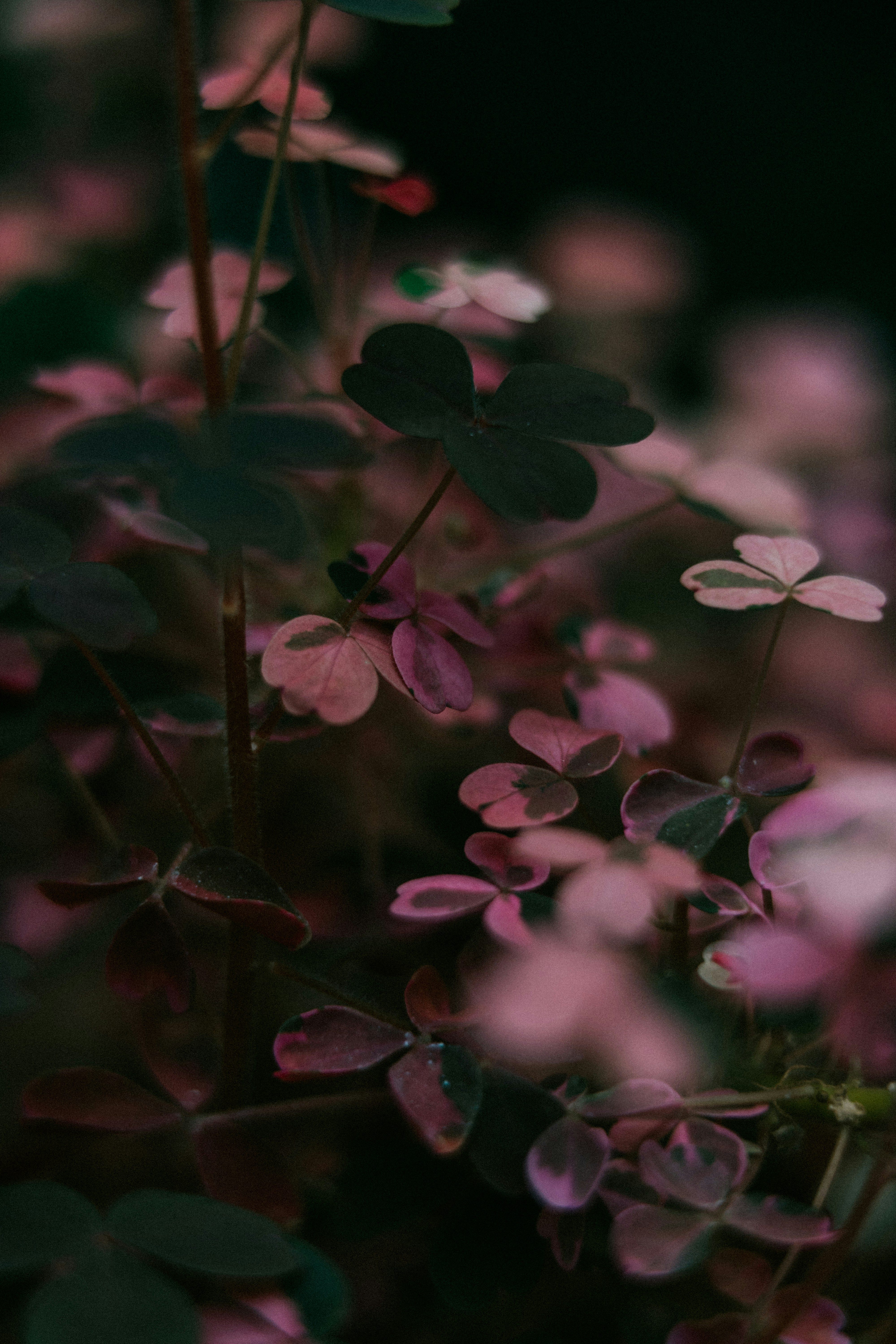 Photo by anamnesis33