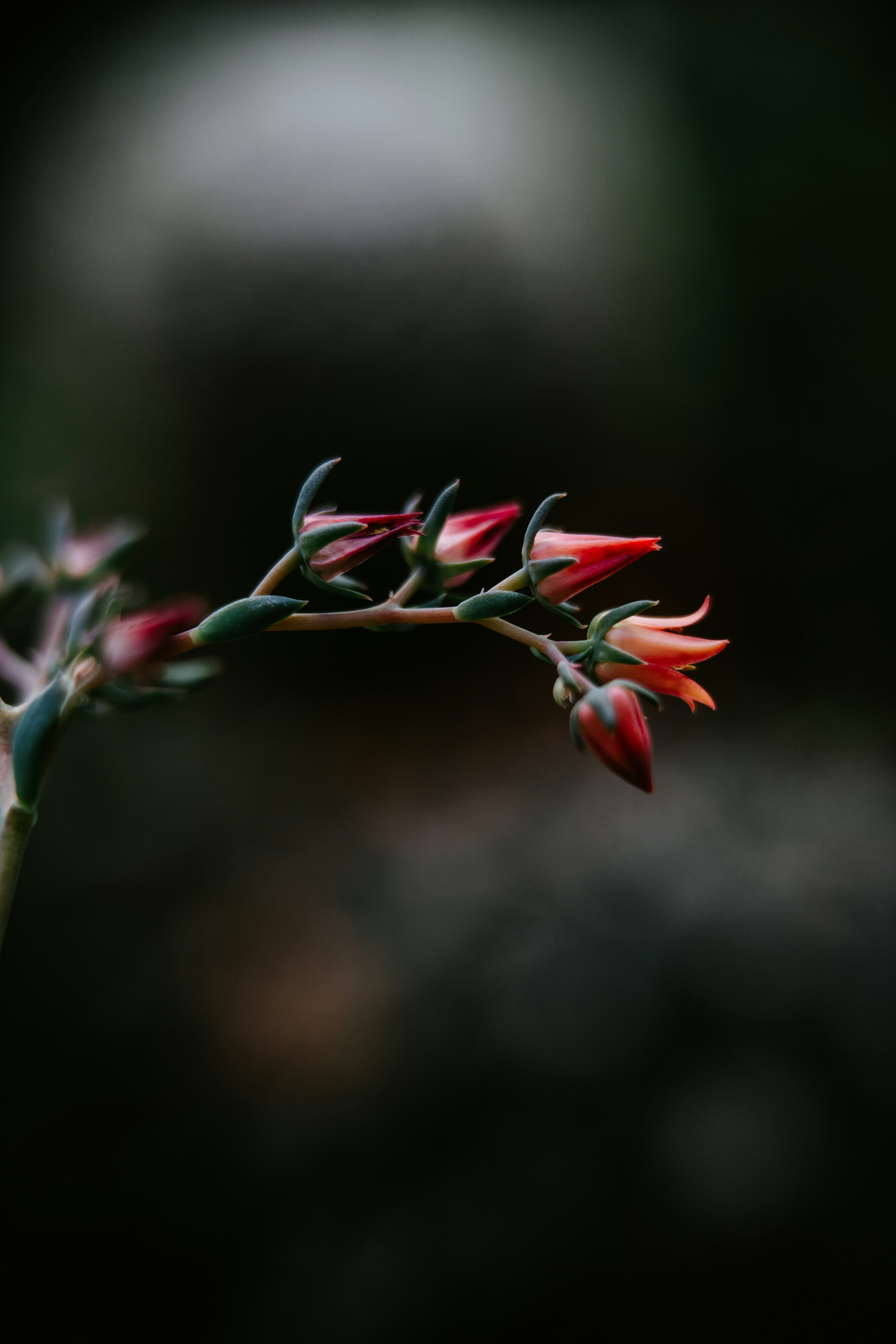 Photo by anamnesis33