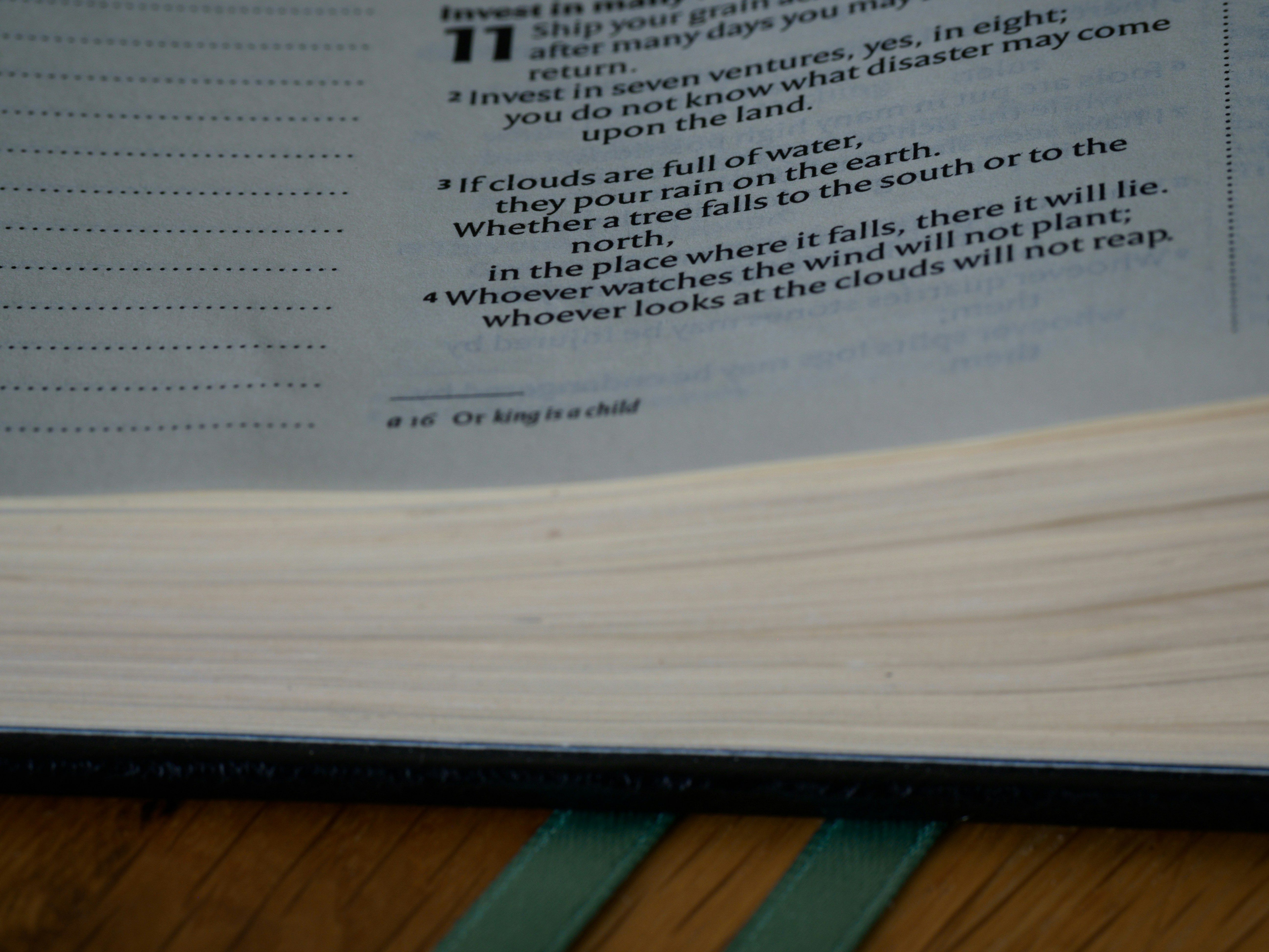 Photo by brett_jordan