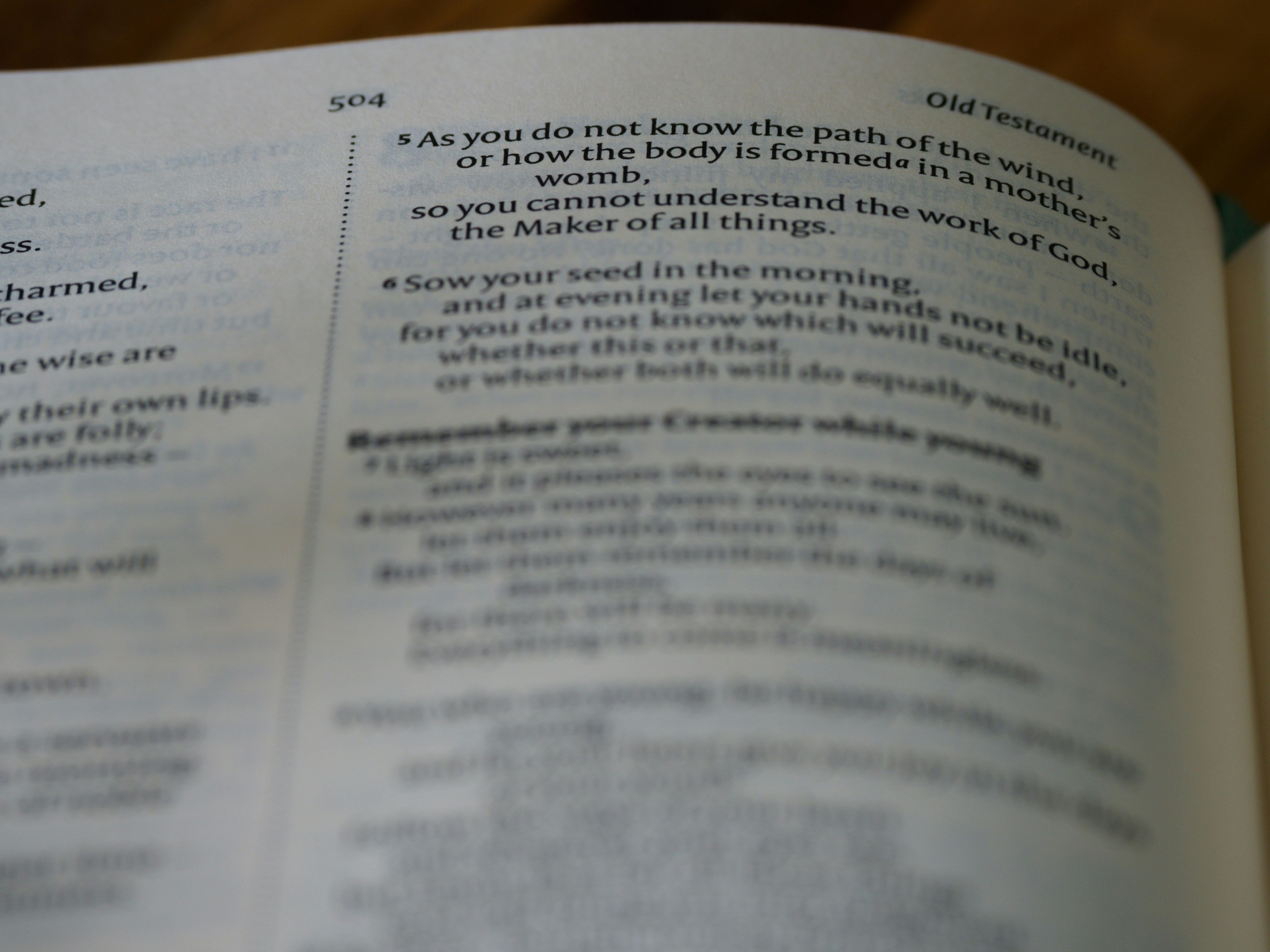 Photo by brett_jordan