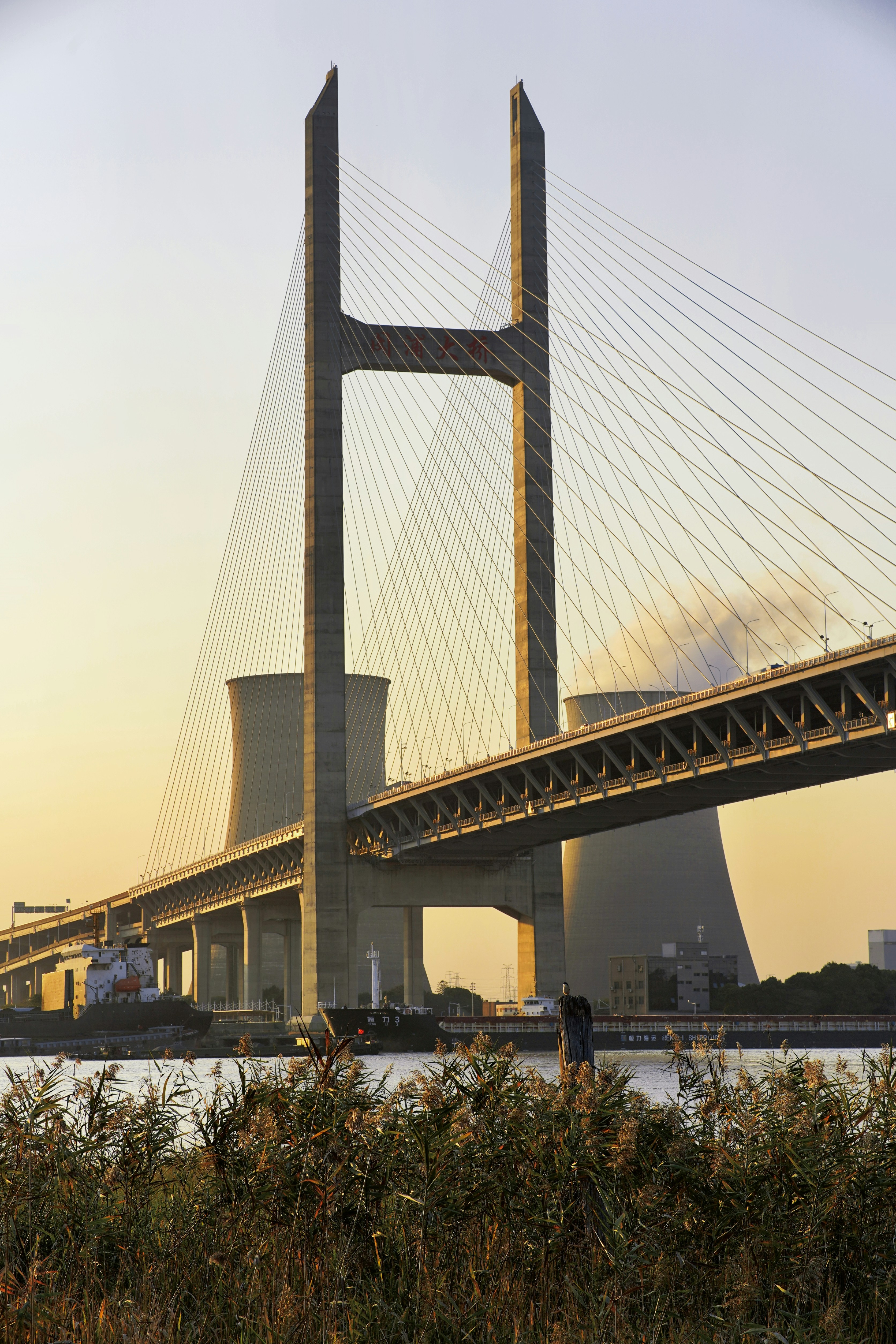 a large bridge with cables