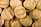 Circular cookies with a light brown color are stacked closely together. Each cookie has distinct horizontal ridges on the surface and is sprinkled with green bits, possibly crushed pistachios or herbs.