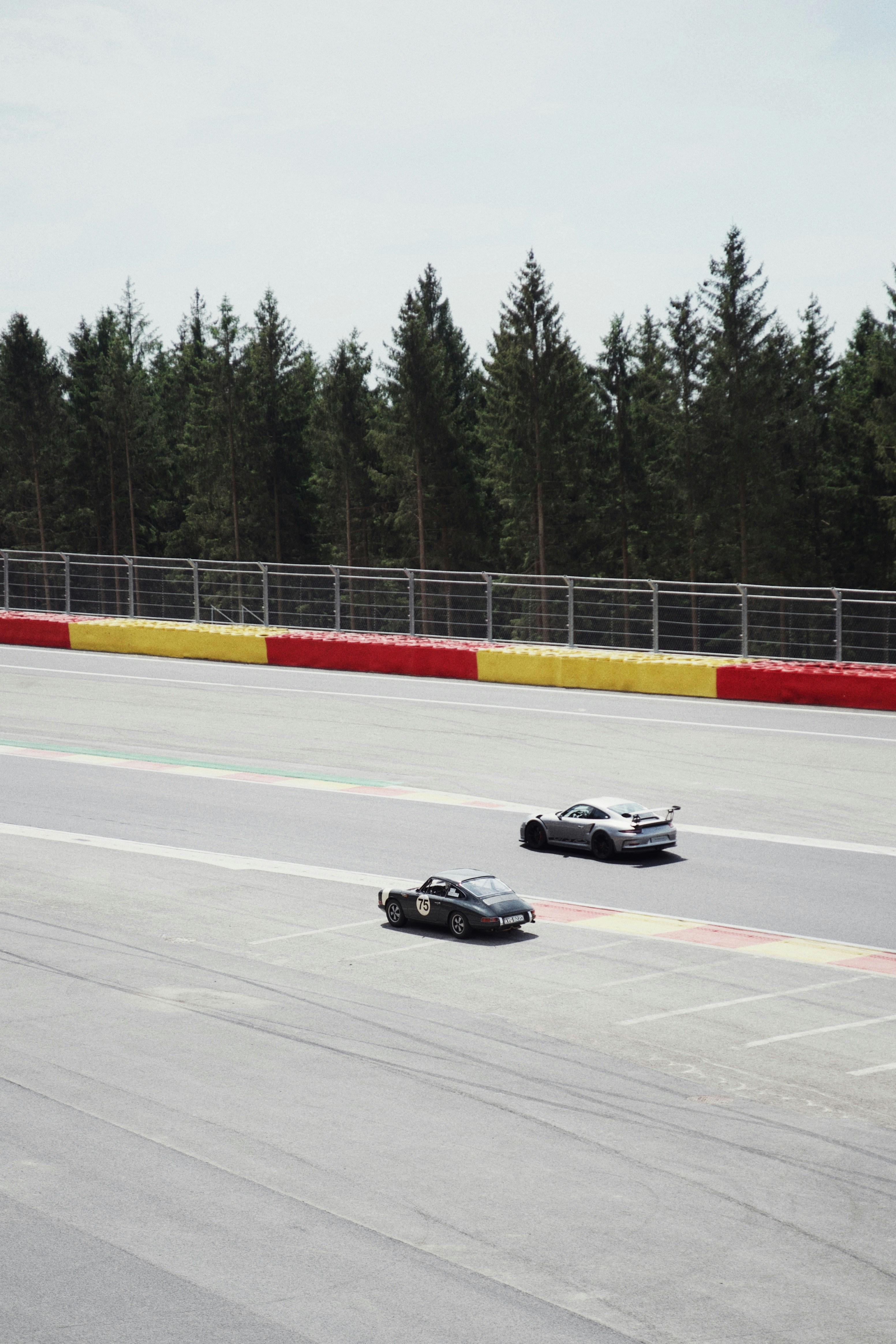 Photo by raducovcaliuc