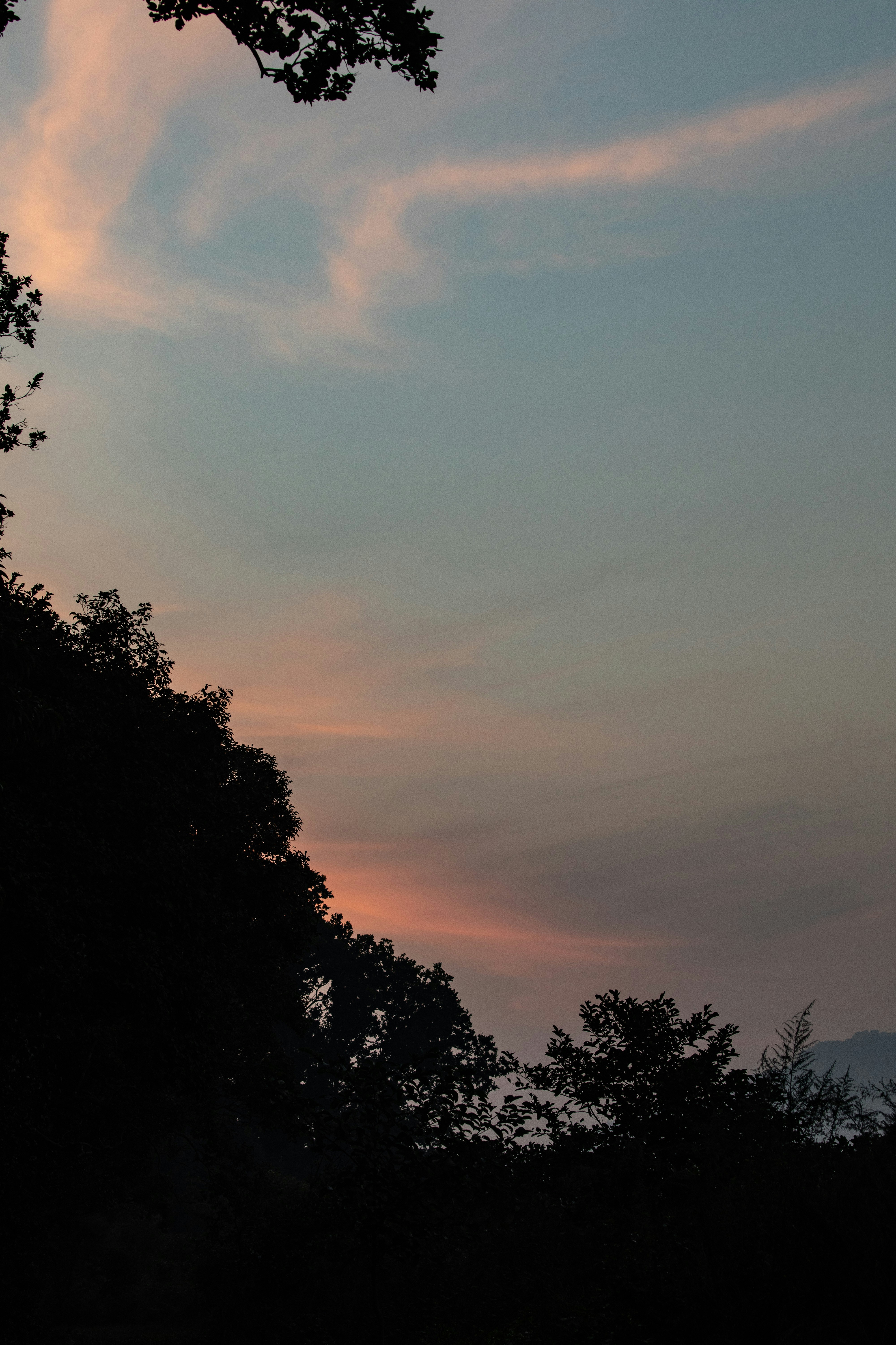 Photo by pasnas