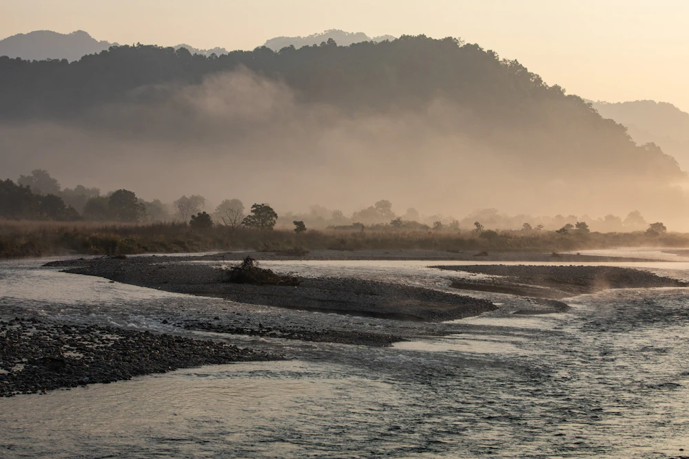 Corbett