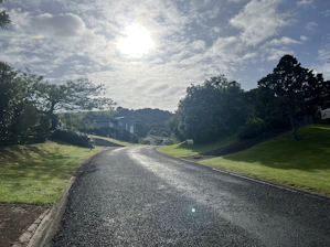 Sunlit Atlanta luxury neighborhood street with manicured lawns and upscale homes.