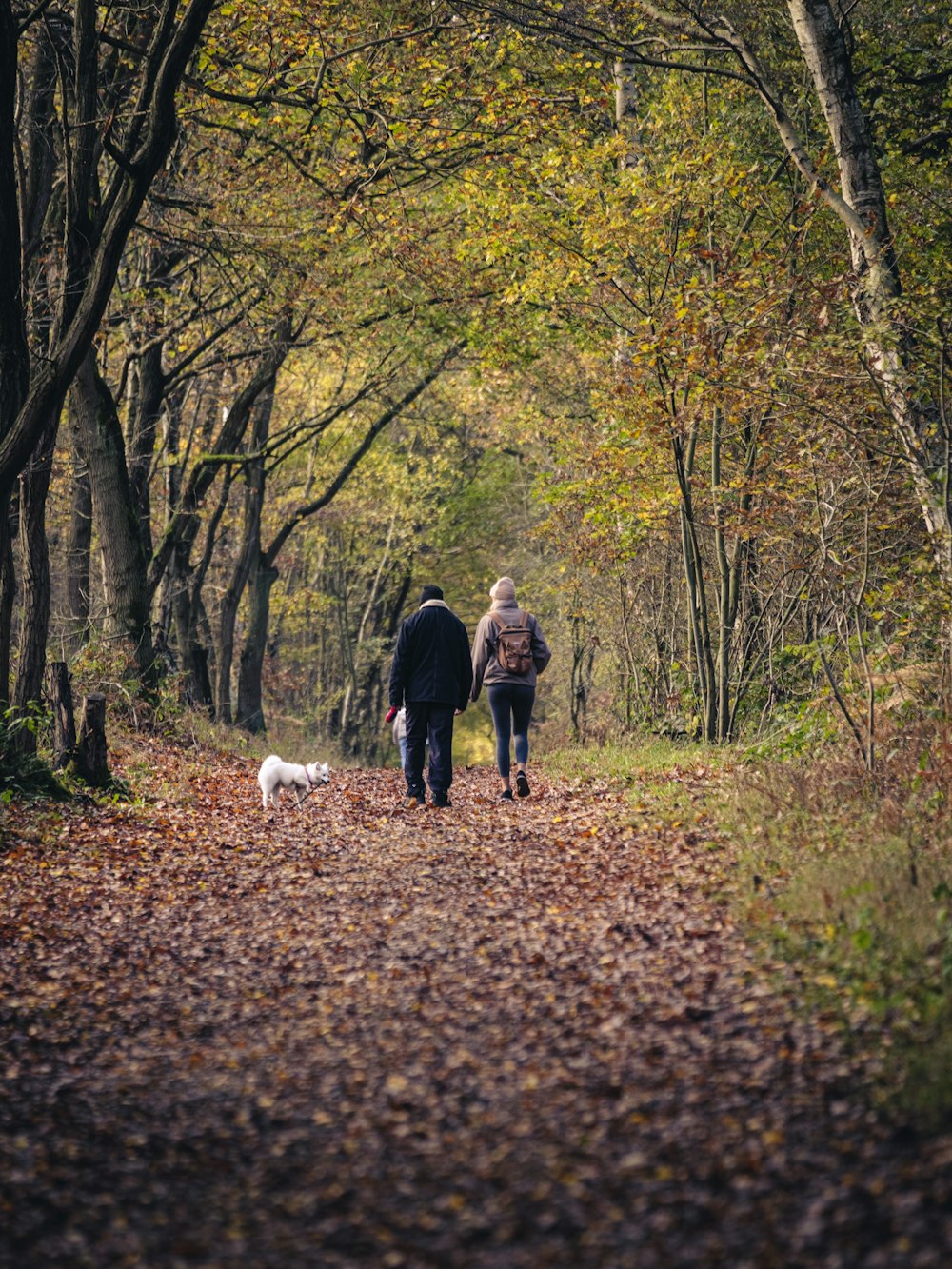 a couple walking a dog on a trail in the woods