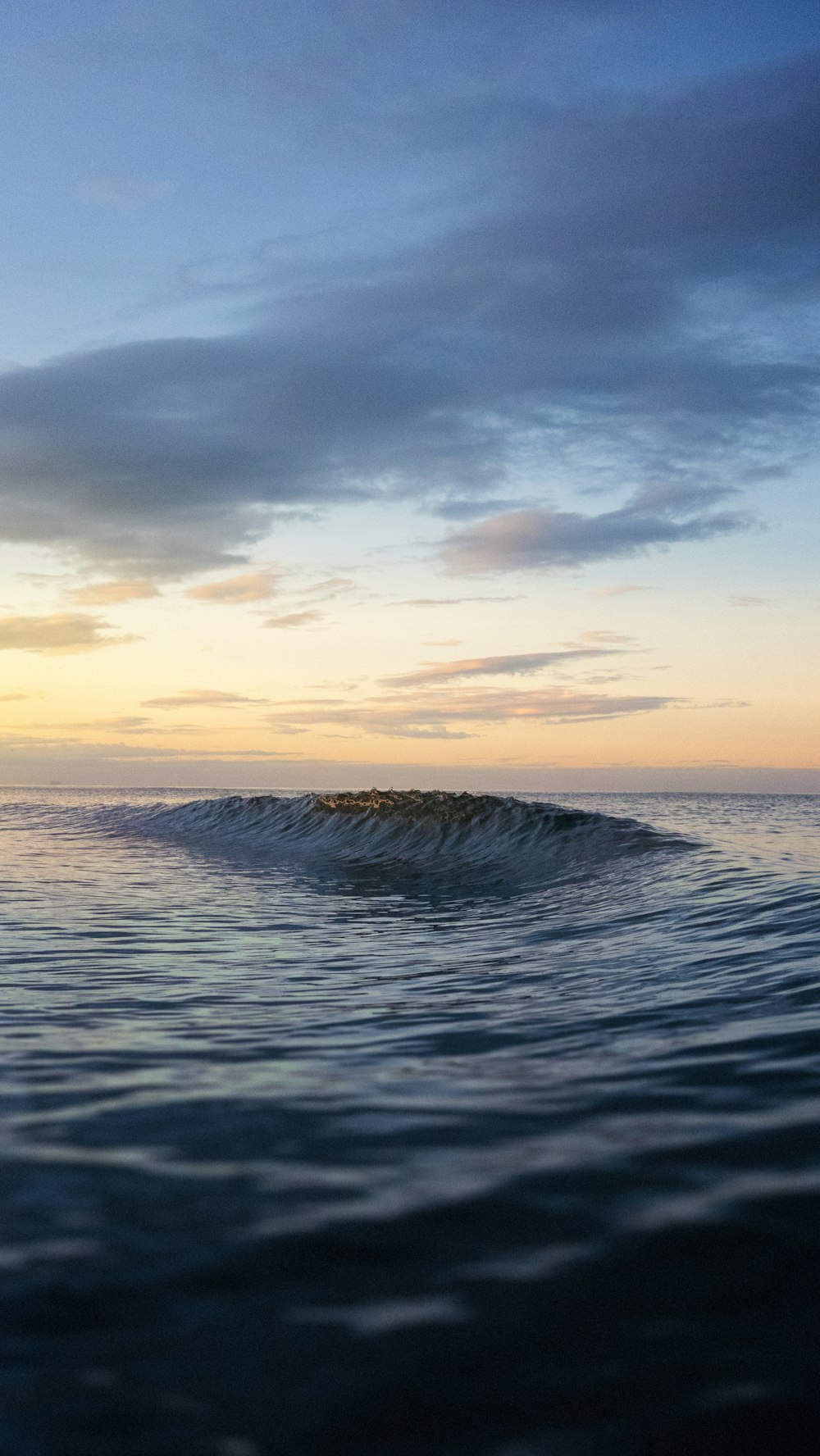 a body of water with waves