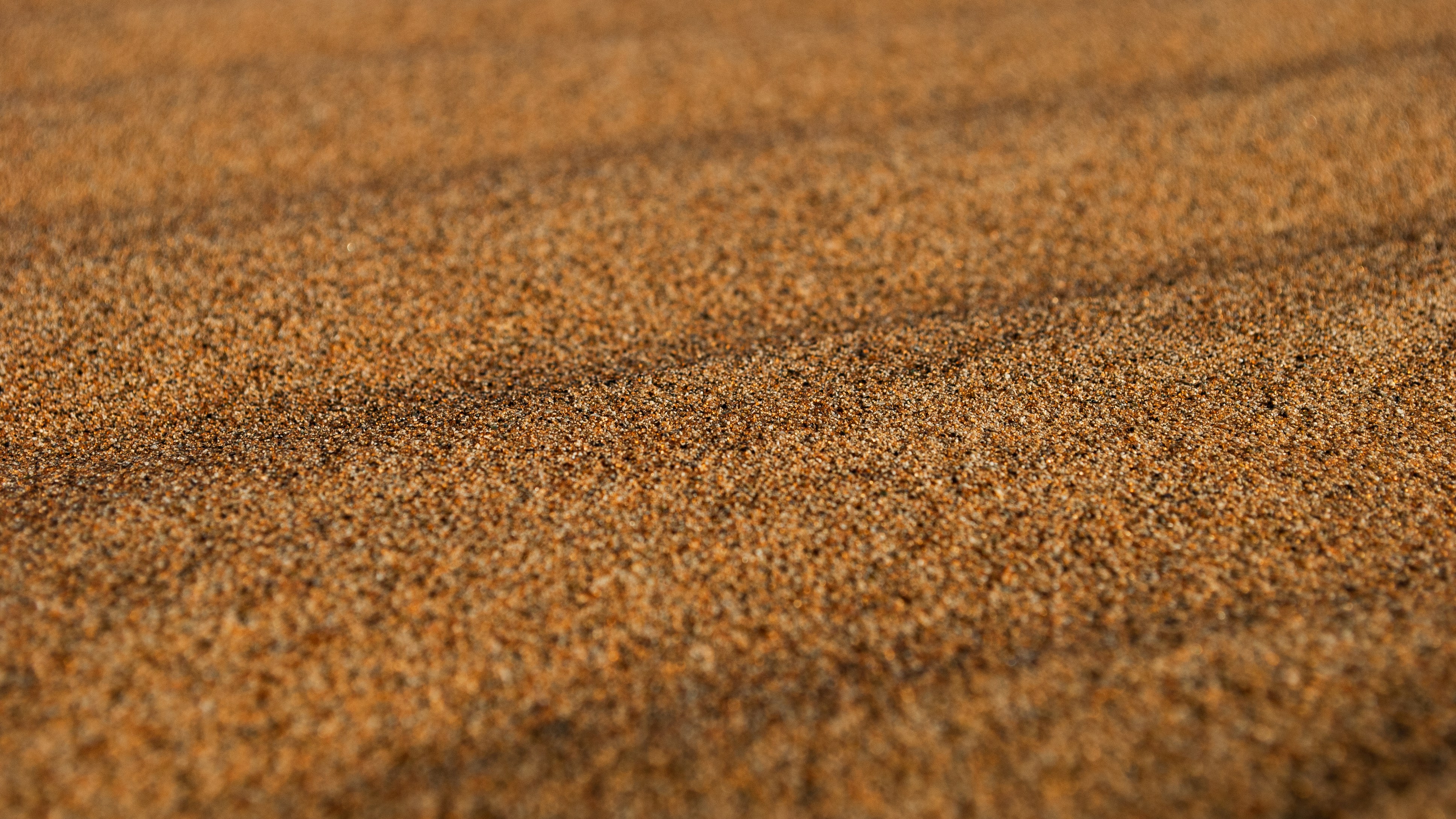 Photo by akinrainbow