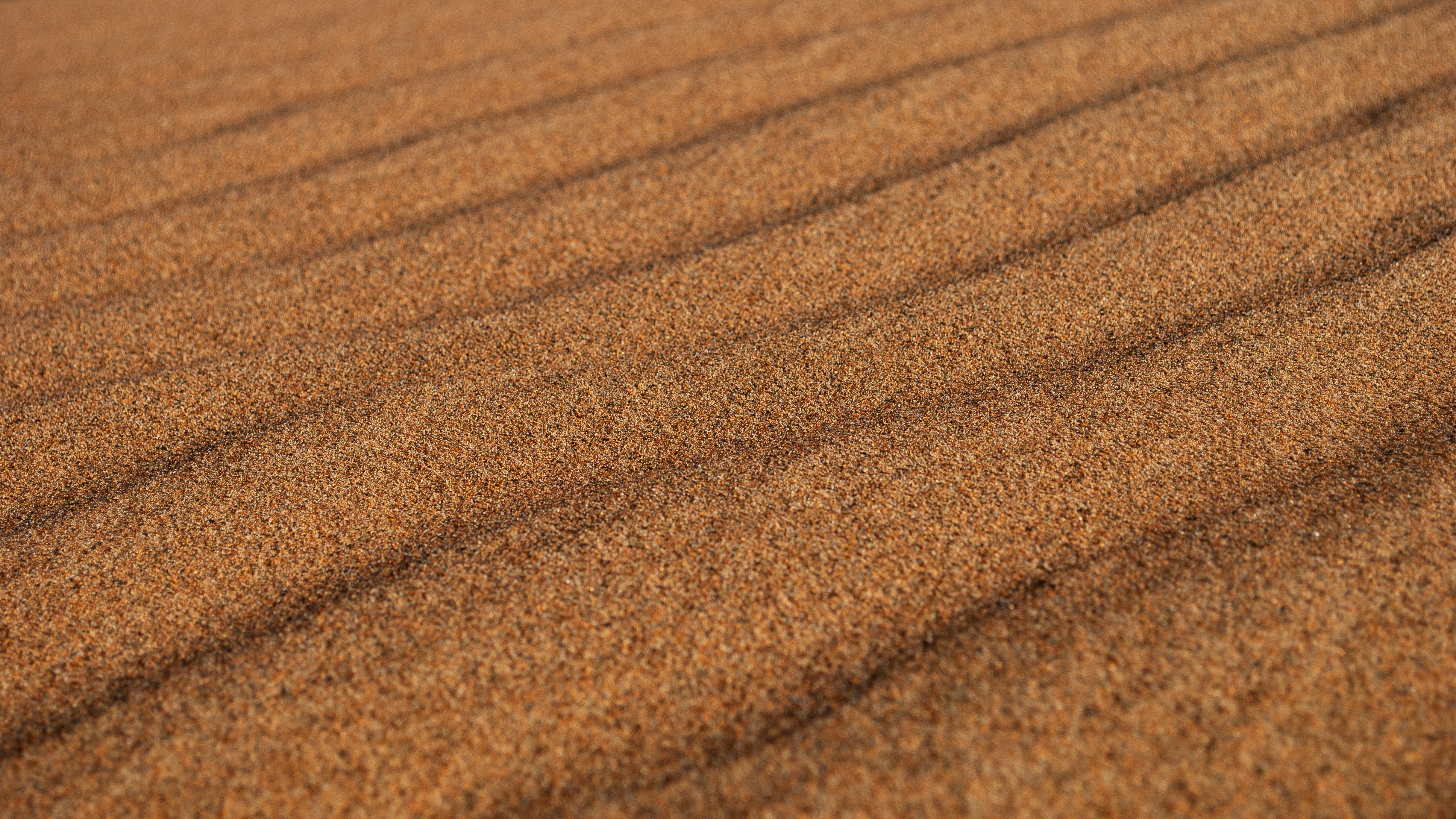 Photo by akinrainbow