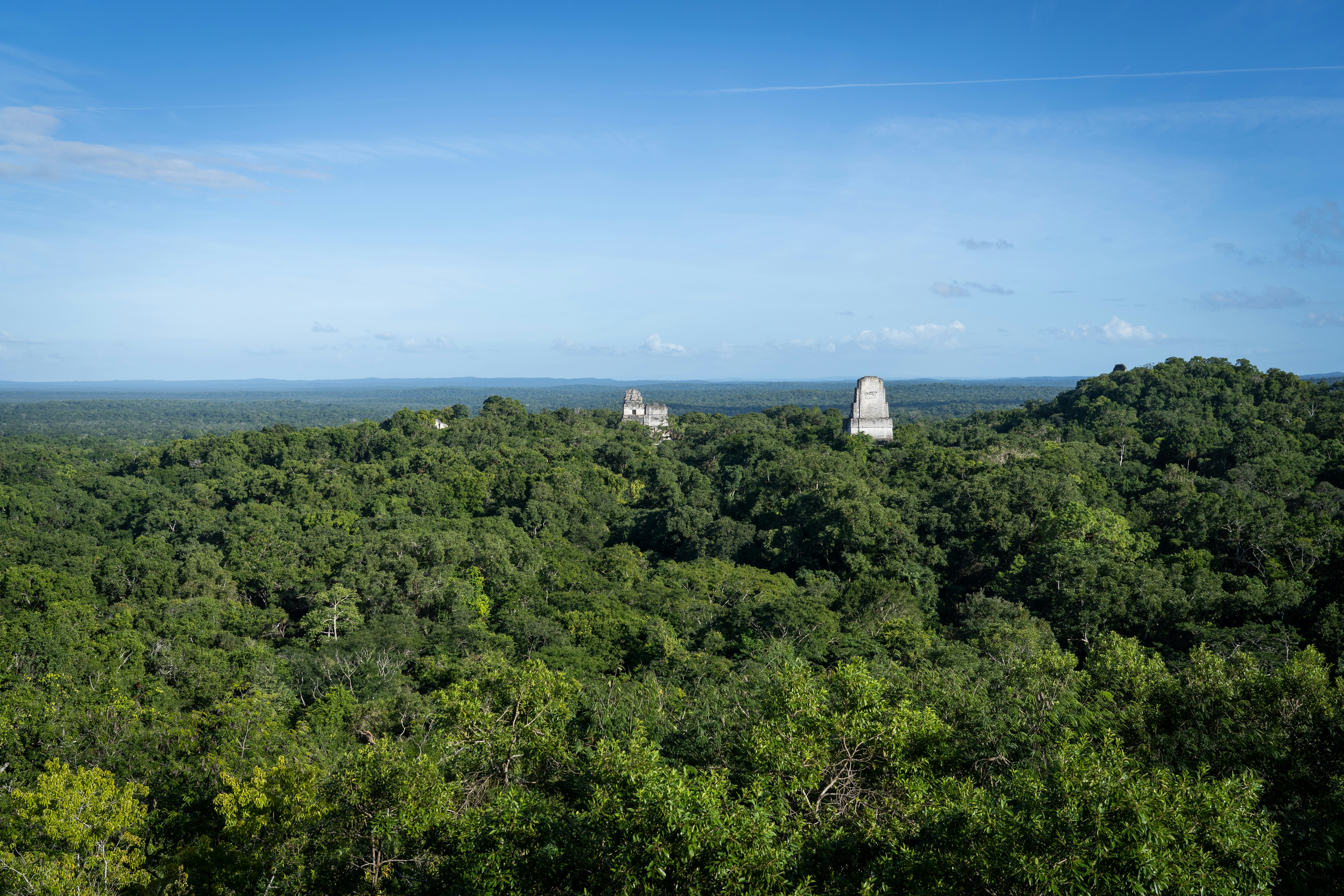 Photo by pawelwieladek