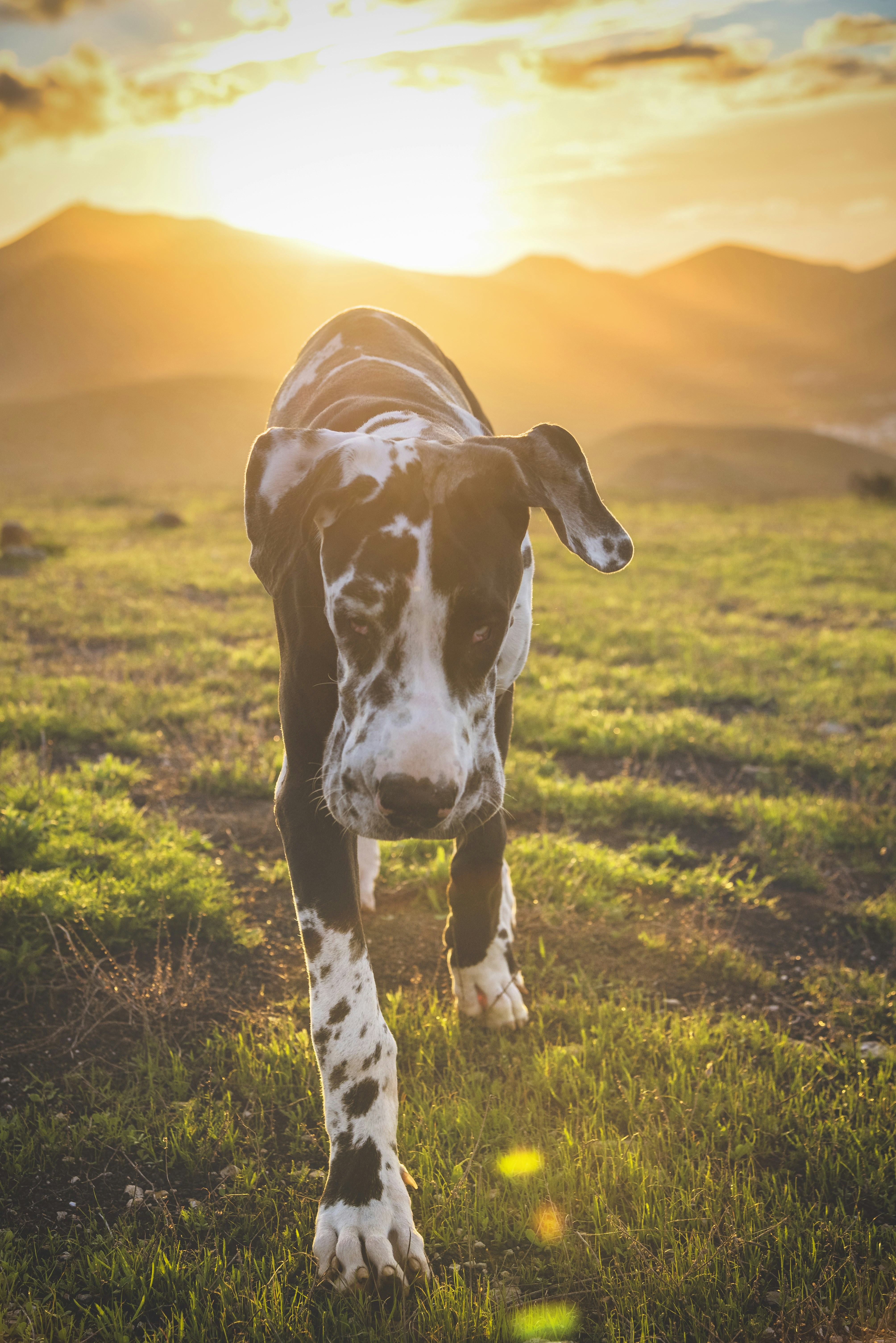 Photo by illenbergair