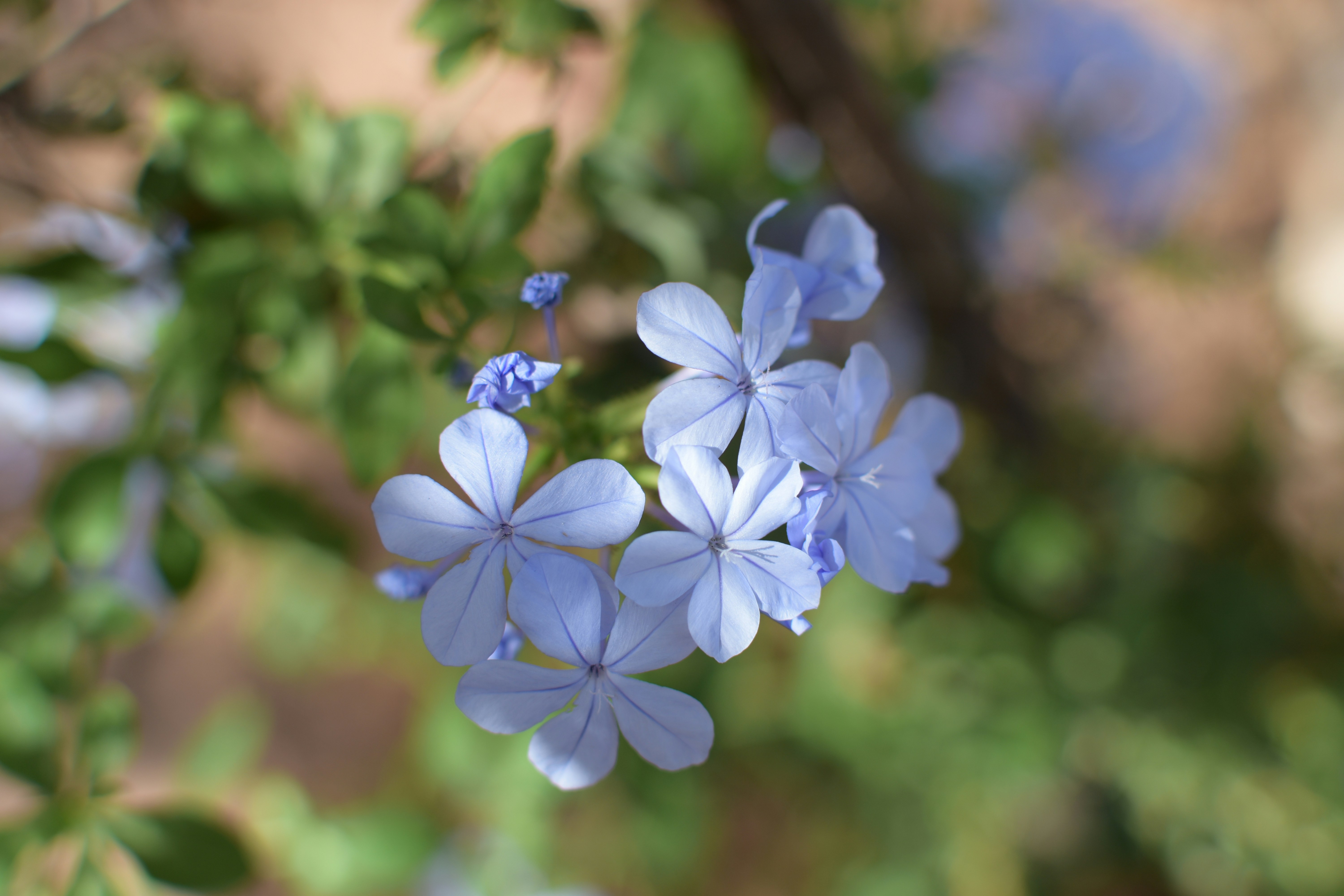 Photo by aallaguiayoub