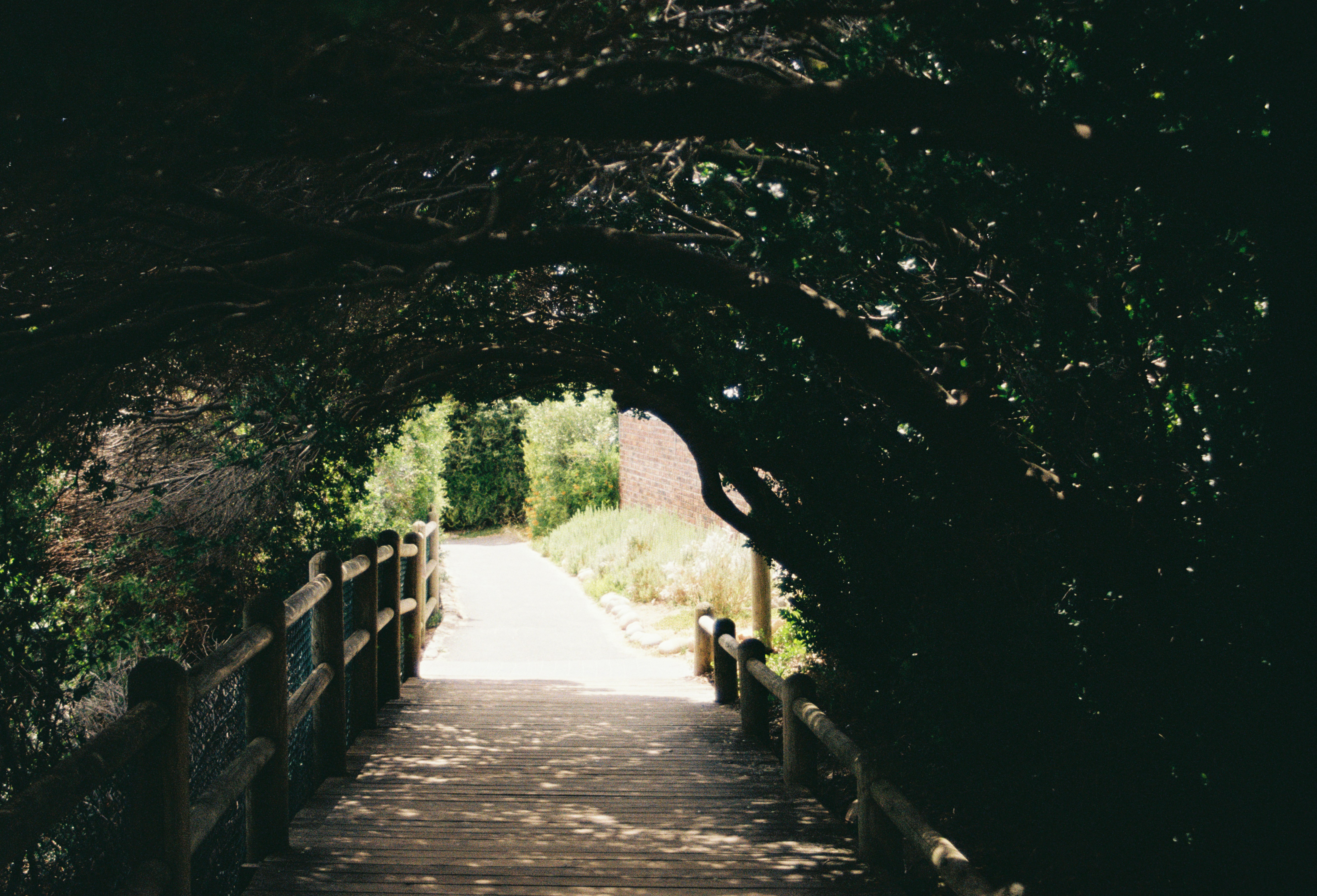 Photo by nikitamnepohui