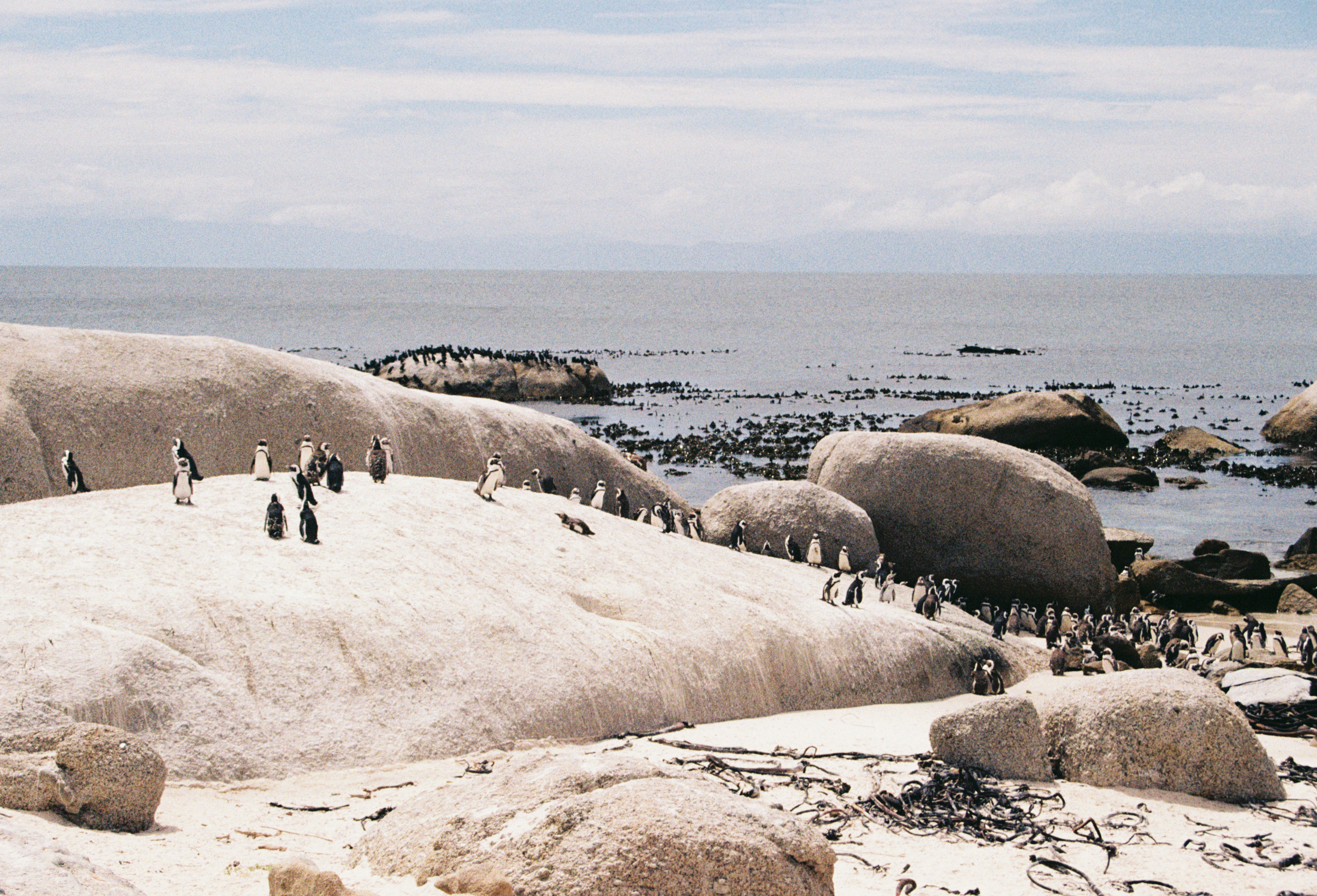 Photo by nikitamnepohui