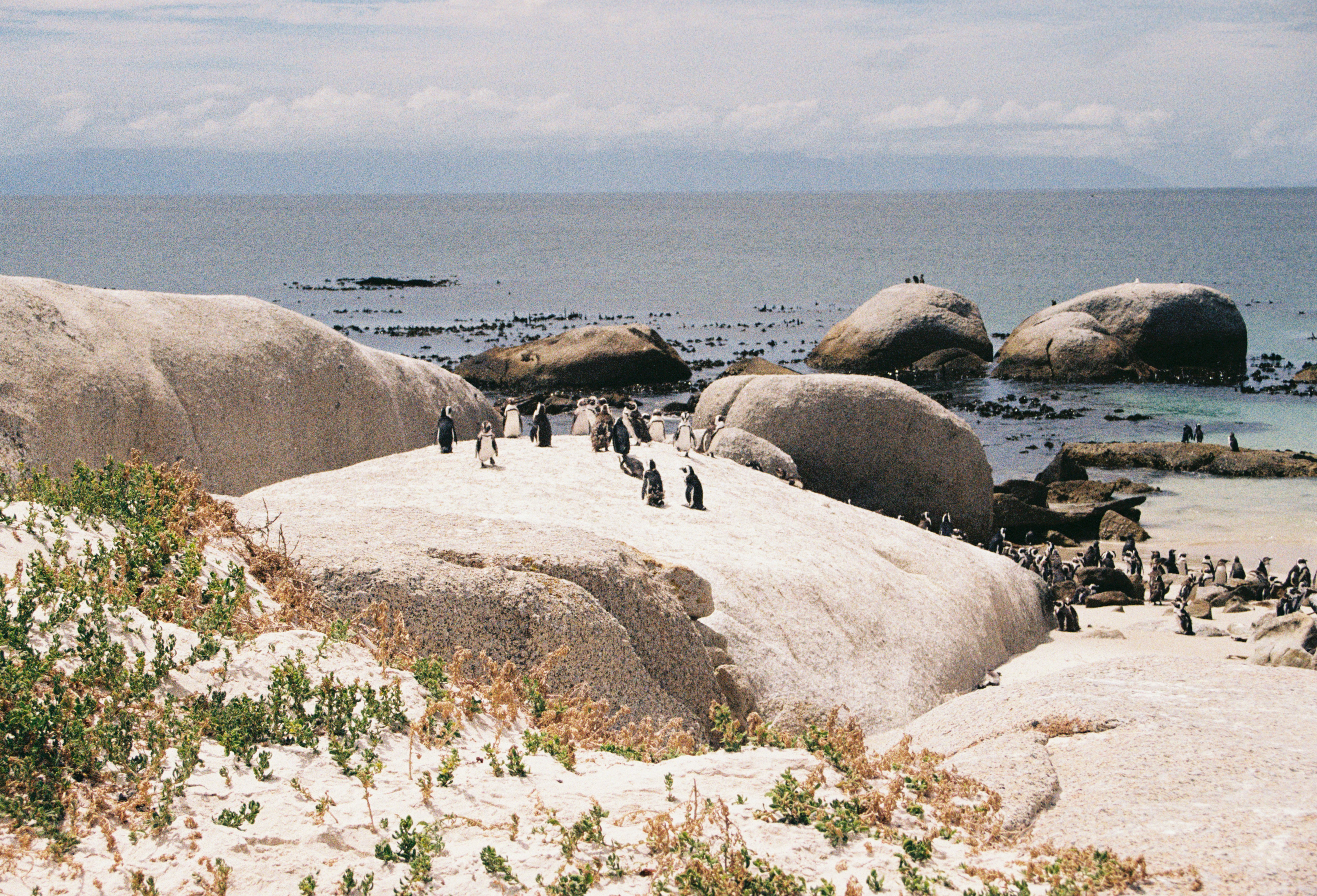 Photo by nikitamnepohui