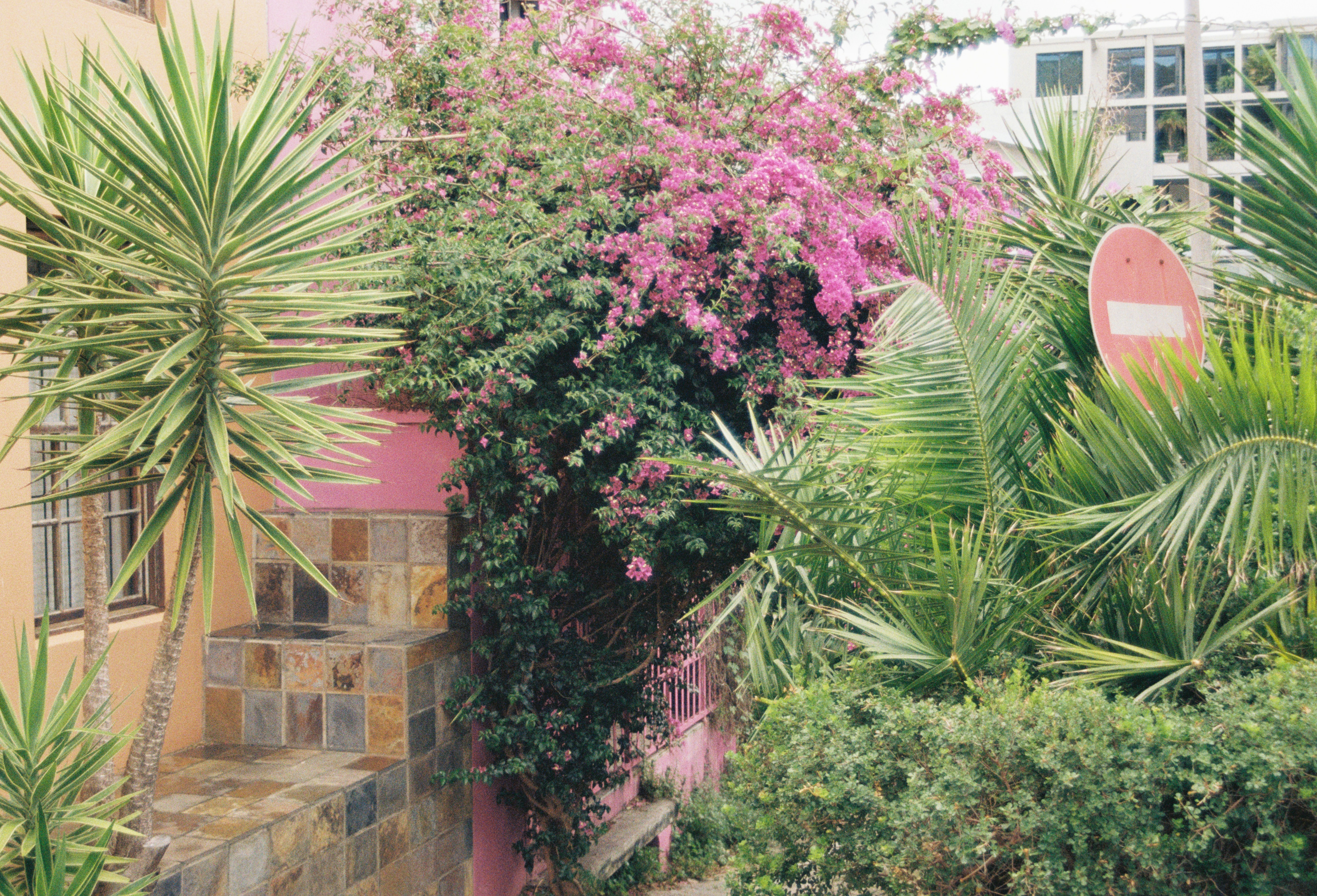 Photo by nikitamnepohui