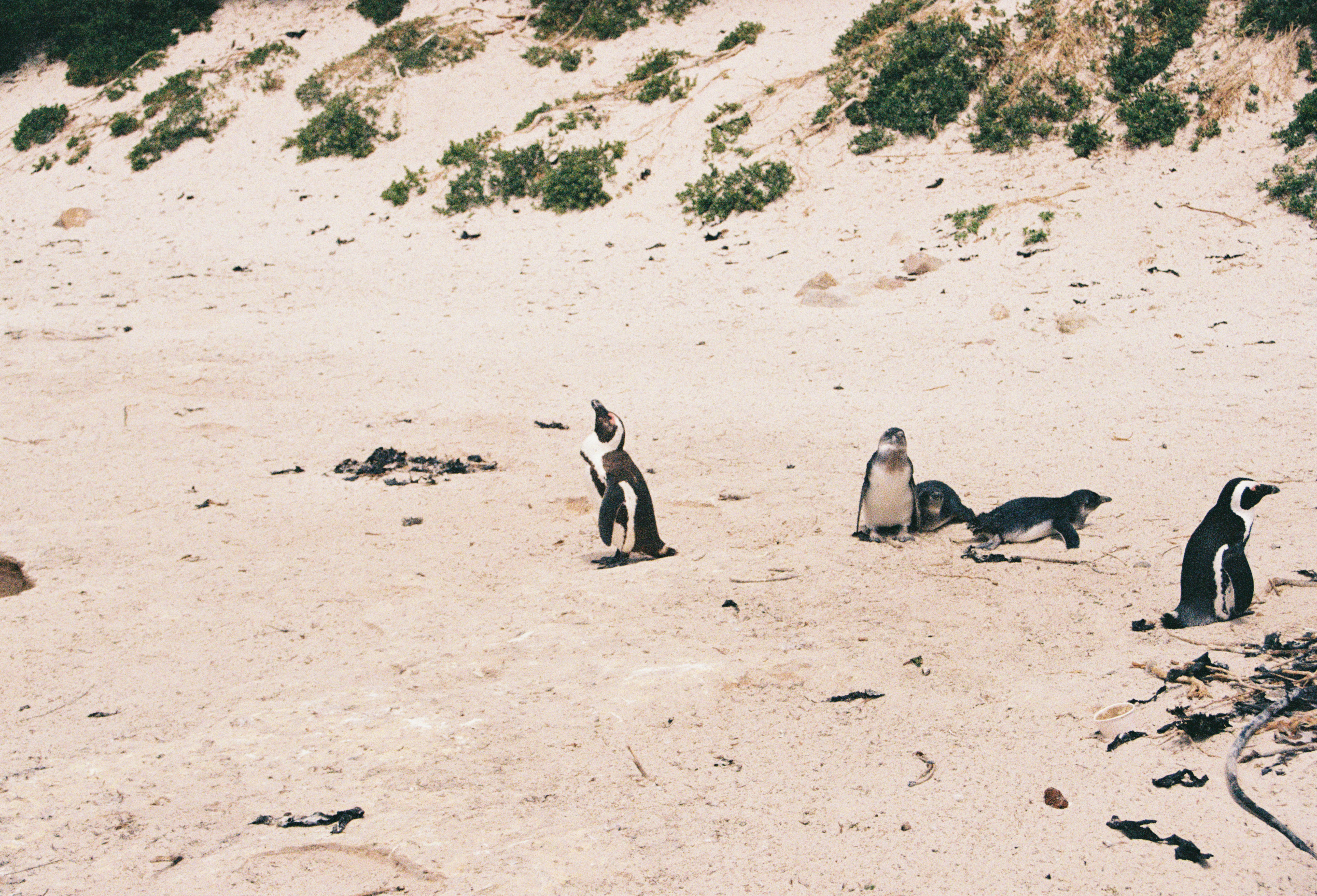 Photo by nikitamnepohui