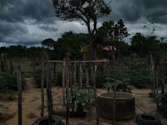 Dark clouds loom over a rural garden with a variety of plants and worn wooden fences. A large tree stands in the center, while a small structure with a red roof is partially visible in the background. Several wooden posts and tires are scattered throughout the sandy ground.