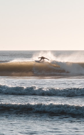A surfer skillfully rides a wave, leaning forward on the surfboard as the sun casts a golden hue over the ocean. The wave provides a dynamic backdrop, with spray and foam adding to the action. The water is calm in the foreground with several smaller waves rolling in.