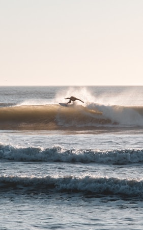 A surfer skillfully rides a wave, leaning forward on the surfboard as the sun casts a golden hue over the ocean. The wave provides a dynamic backdrop, with spray and foam adding to the action. The water is calm in the foreground with several smaller waves rolling in.