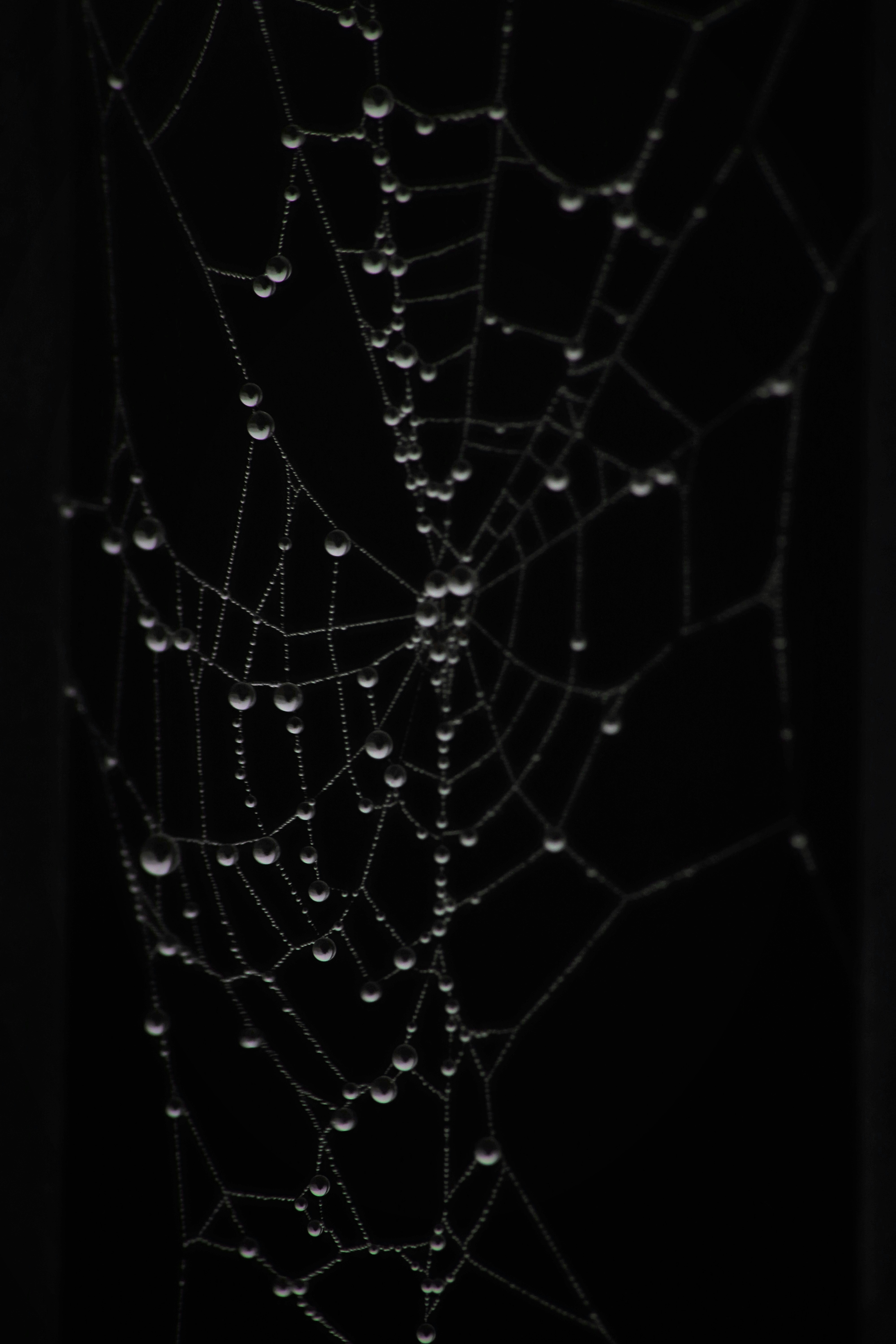 photo-1669030282983-4a381604157c?ixid=M3wxMjA3fDB8MXxzZWFyY2h8MTJ8fG1vc3RiZXQlMjB3ZWJ8ZW58MHx8fHwxNzY0MjkwODM0fDA\u0026ixlib=rb-4.1.0