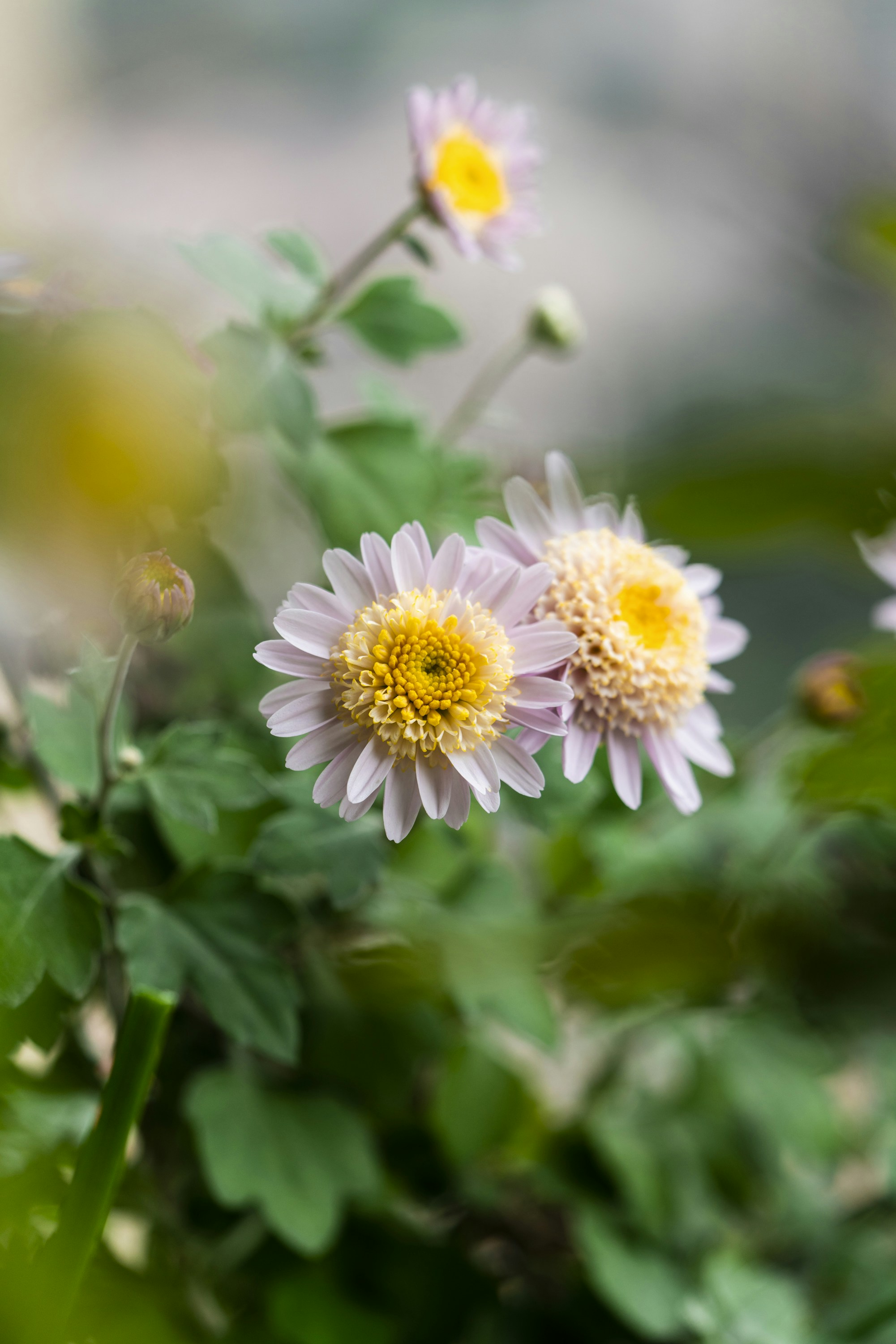 Photo by jerry_318