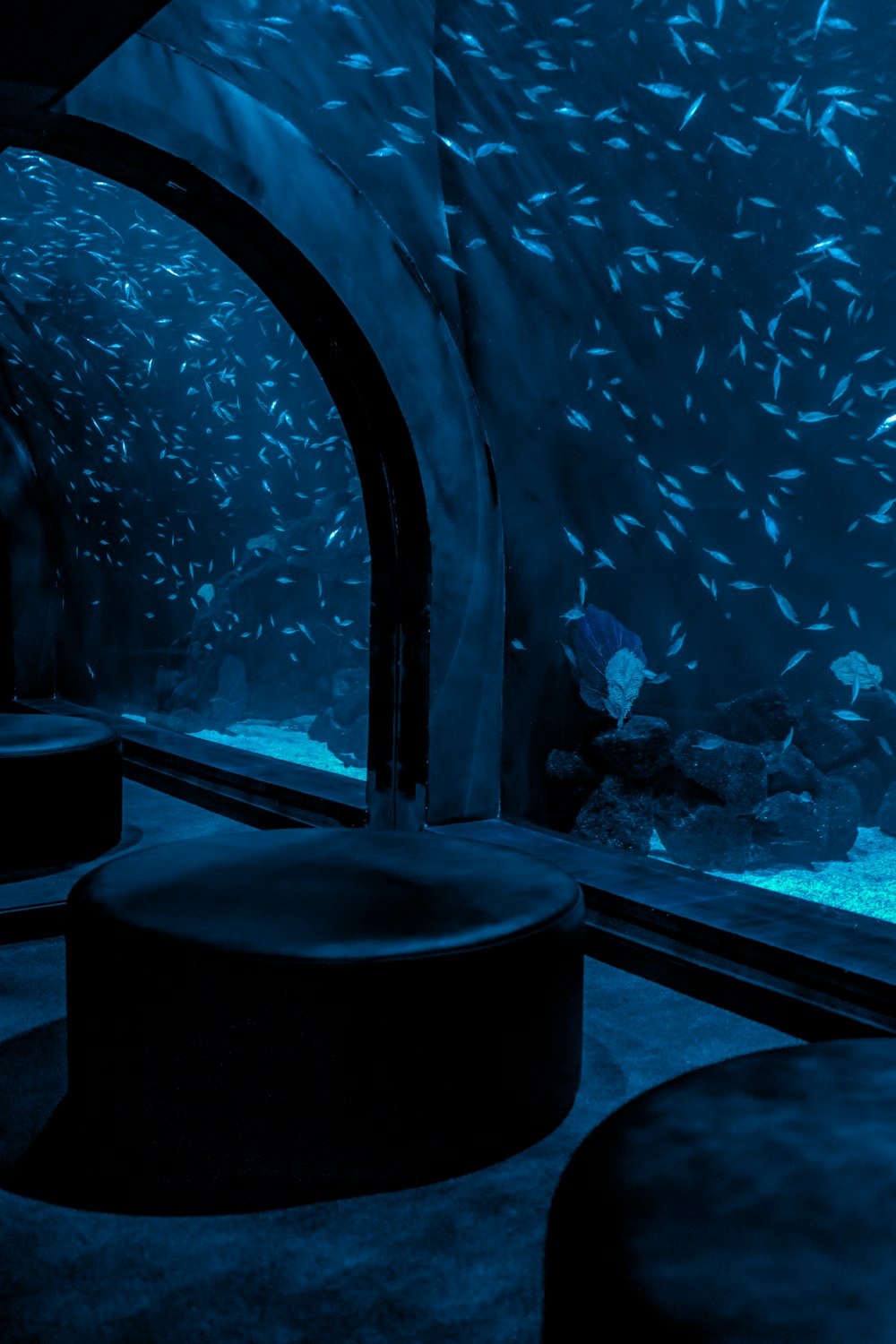 a large aquarium with rocks