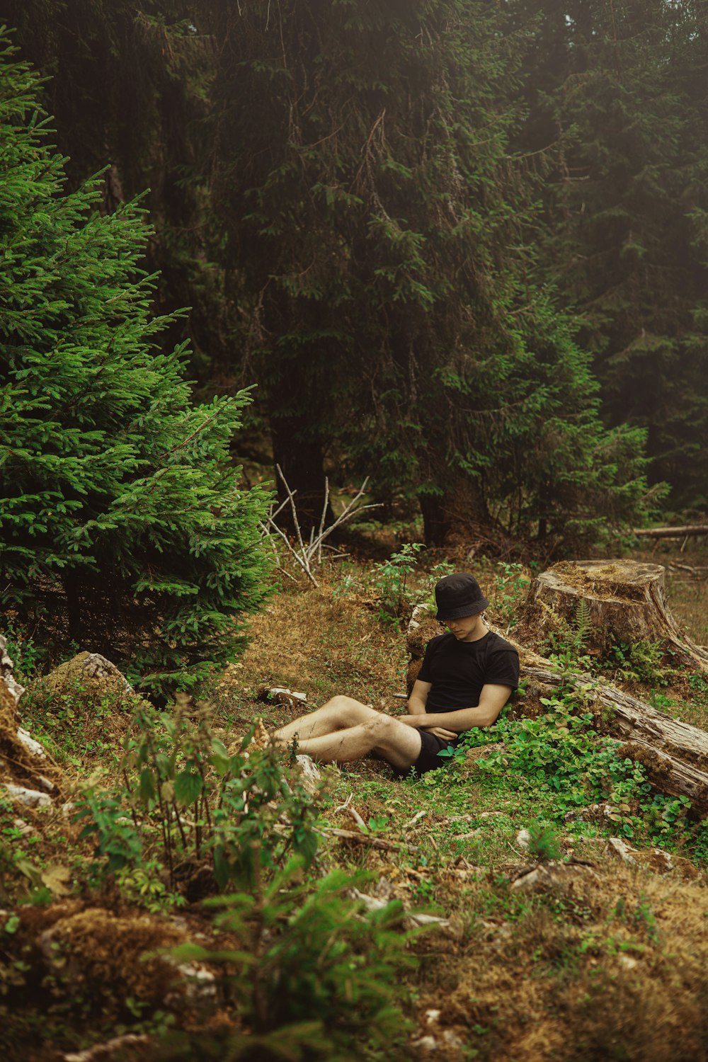 a person sitting on a rock in the woods