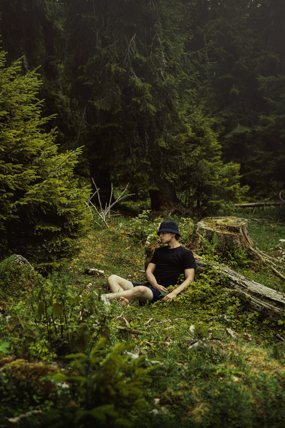 a man sitting on a log in a forest