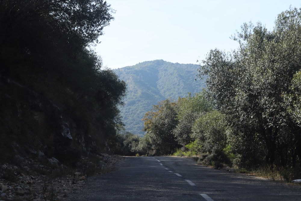 a road with trees on the side