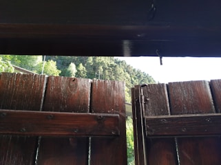 Wide shot of a backyard fence fully restored to bright, natural timber color under sunlight.